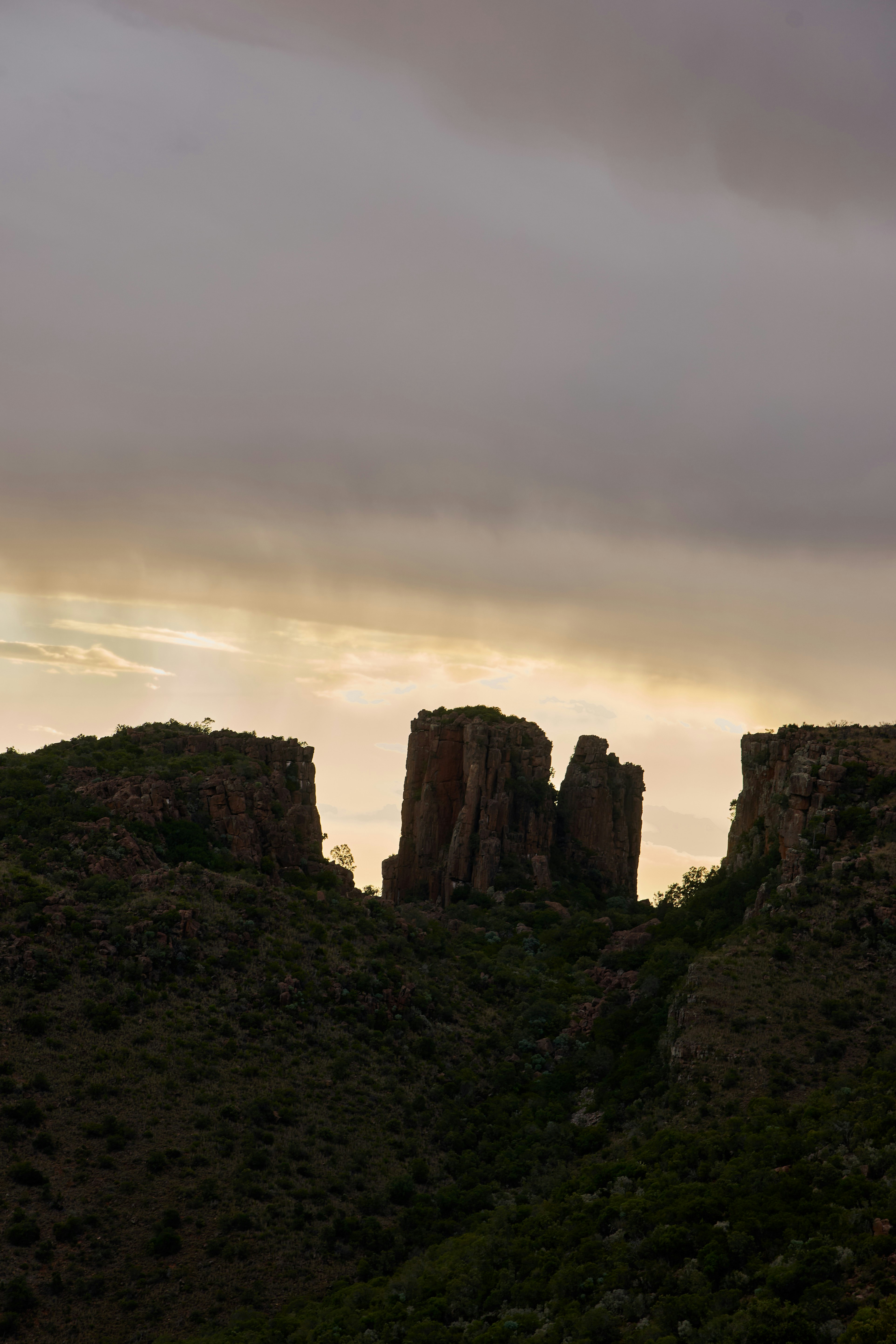 Photo by wolfgang_hasselmann