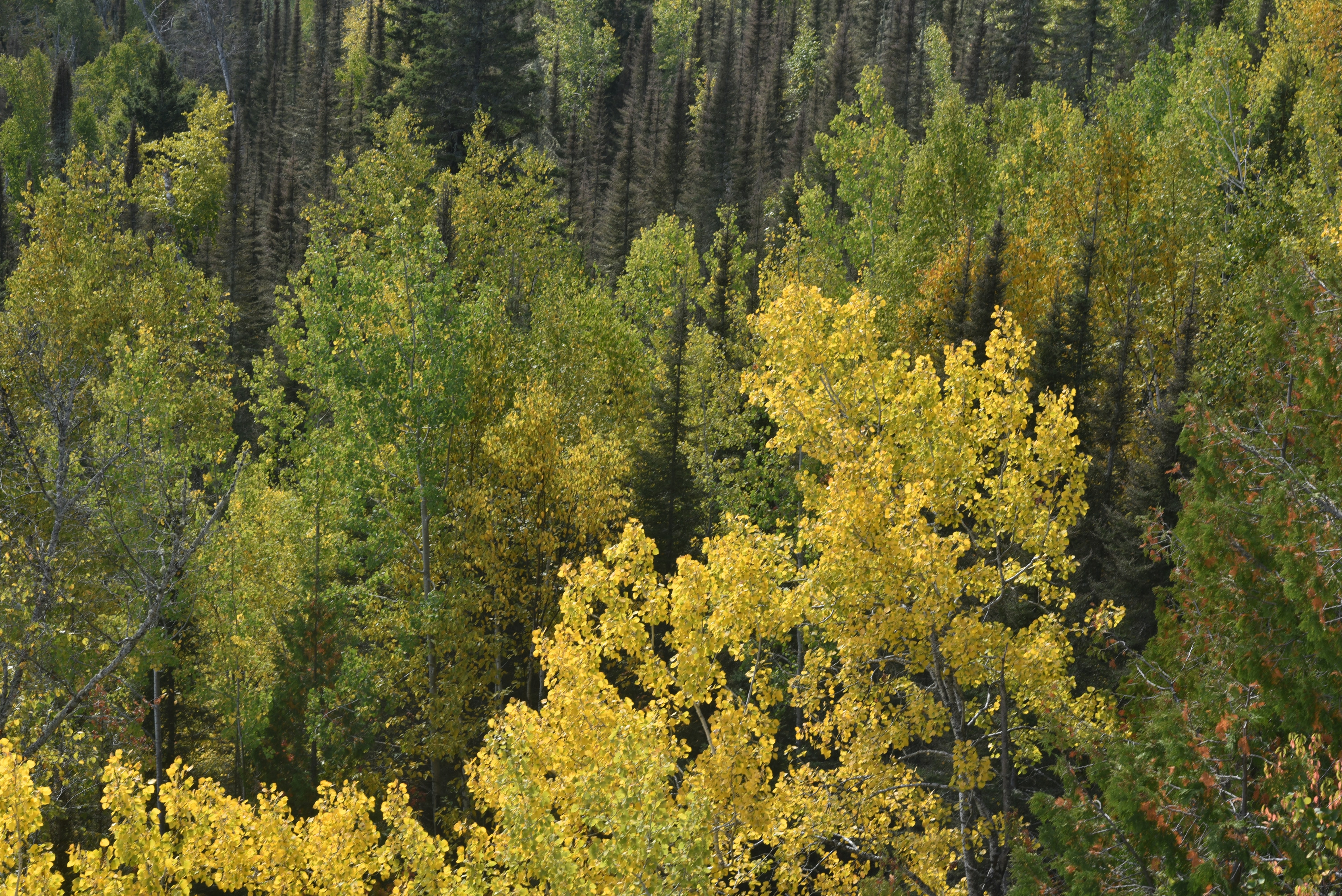 Photo by enlightening_images