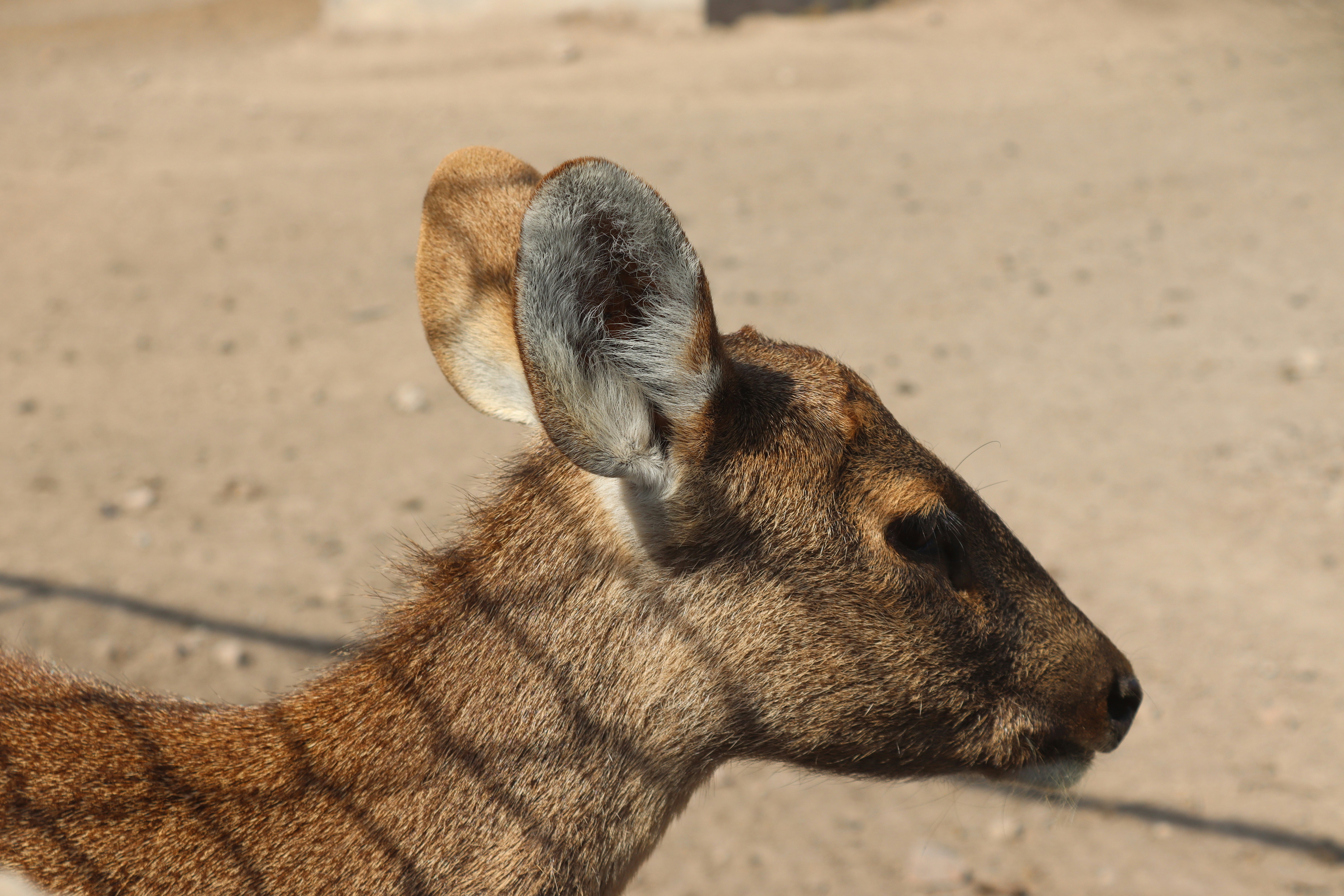 Photo by drphotographer152