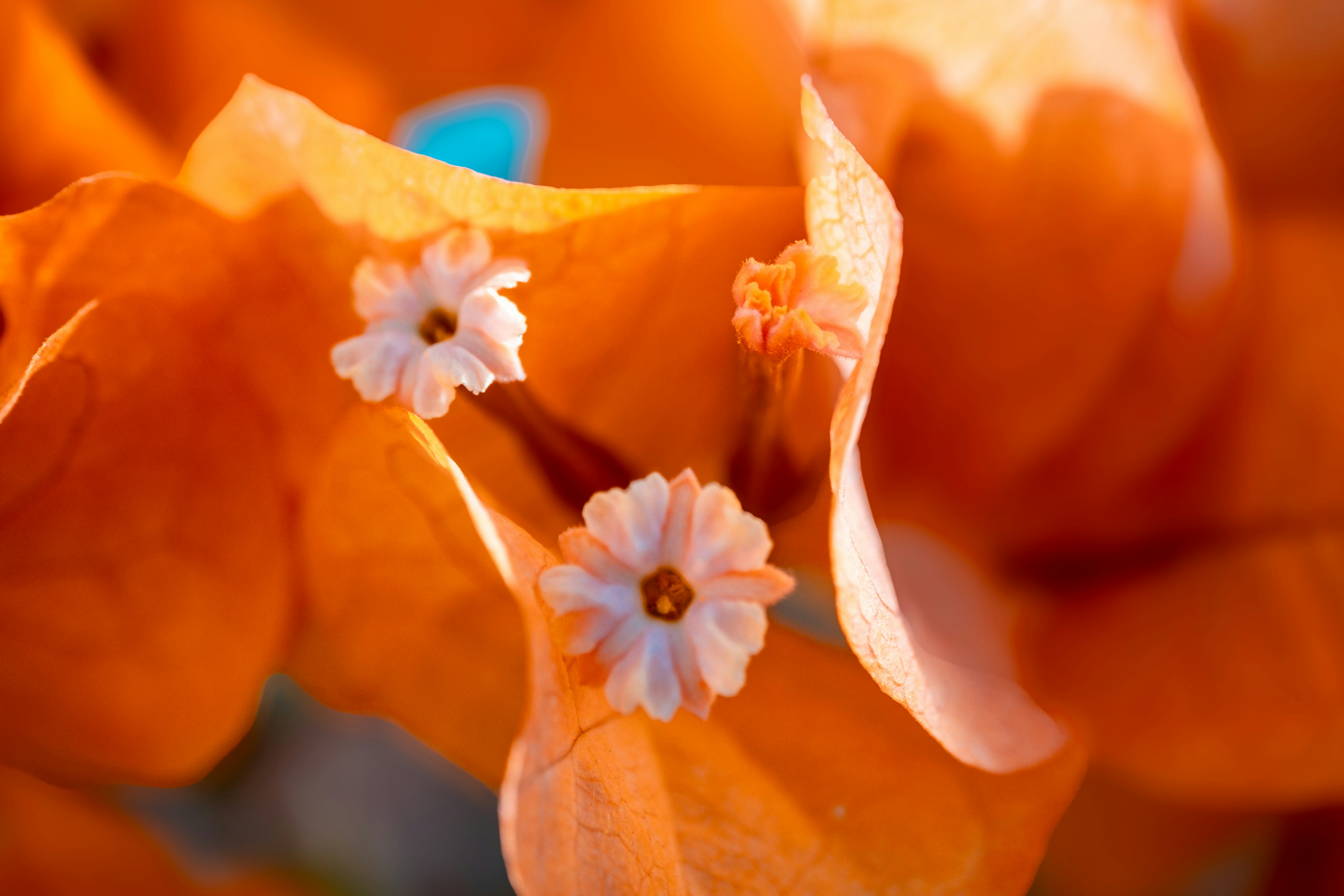 Photo by zofaphotography