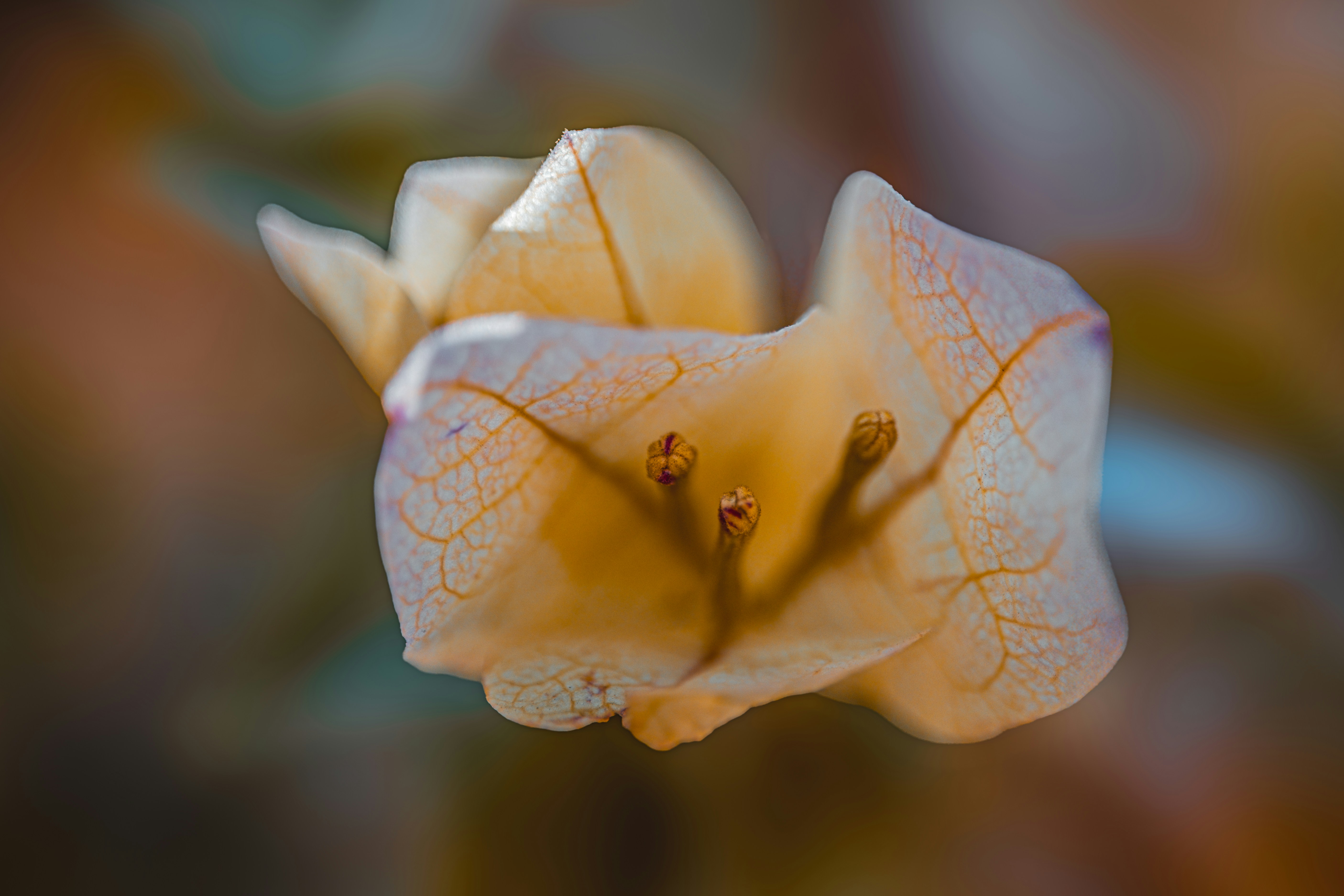 Photo by zofaphotography