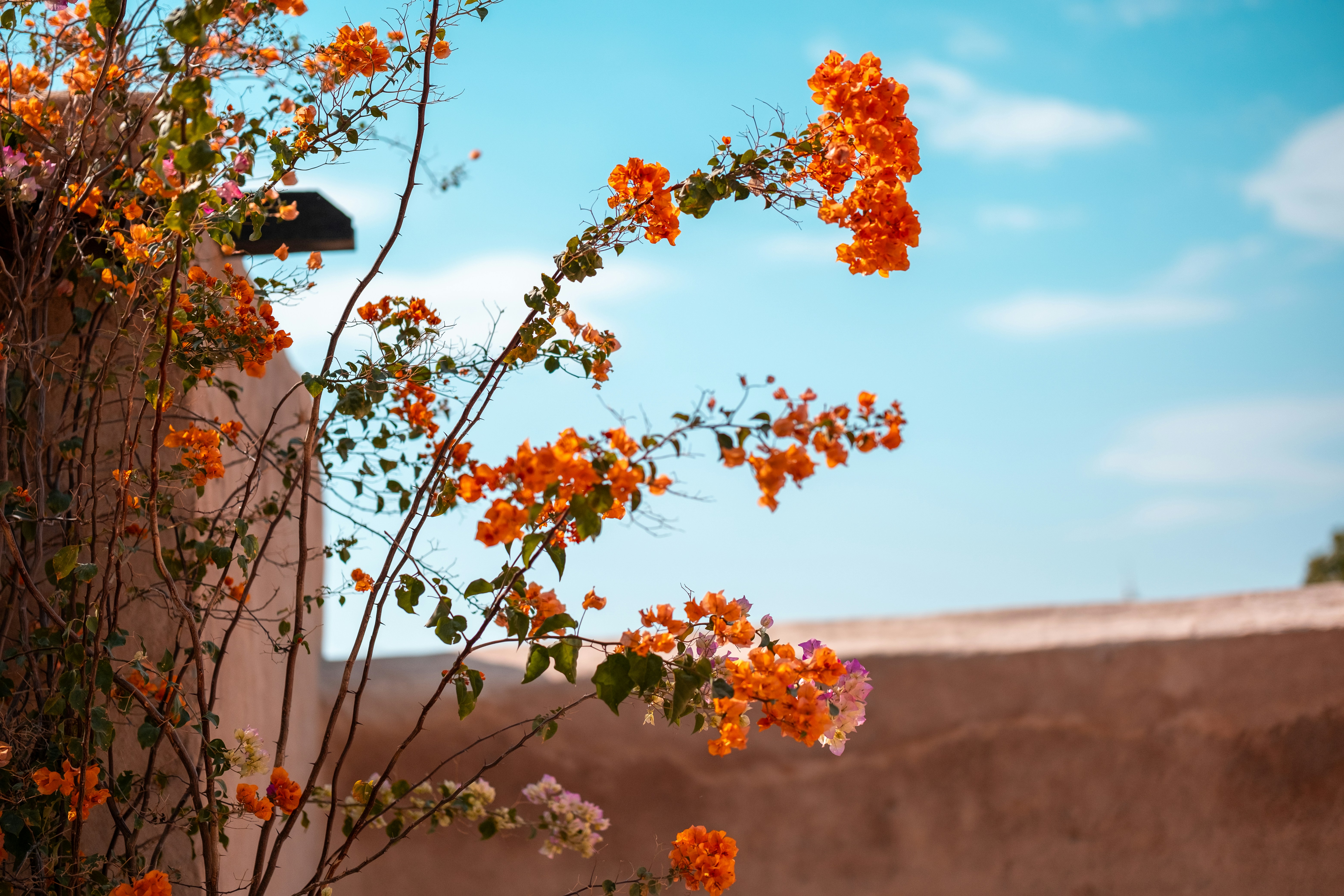 Photo by zofaphotography