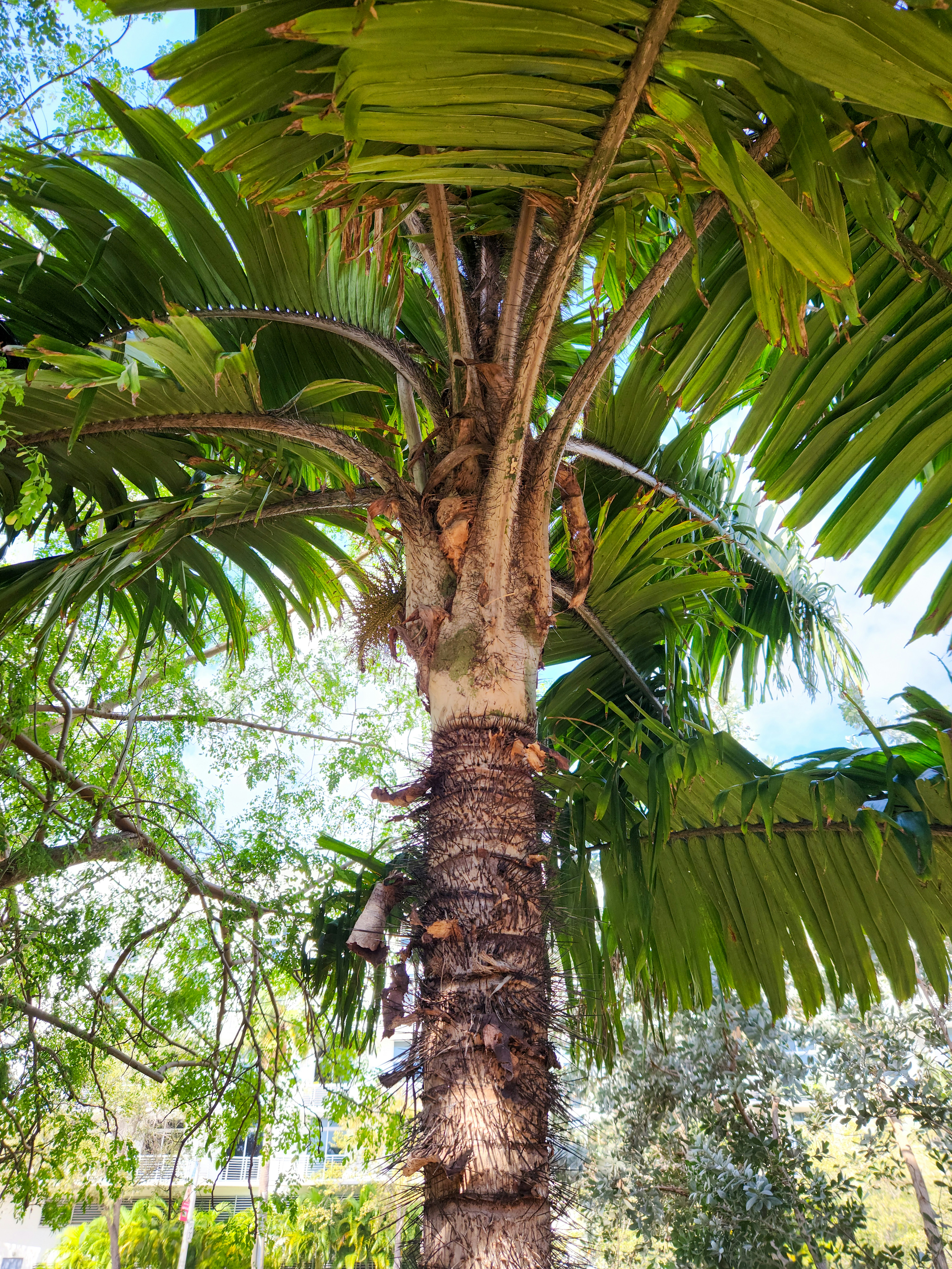 Photo by zoshuacolah