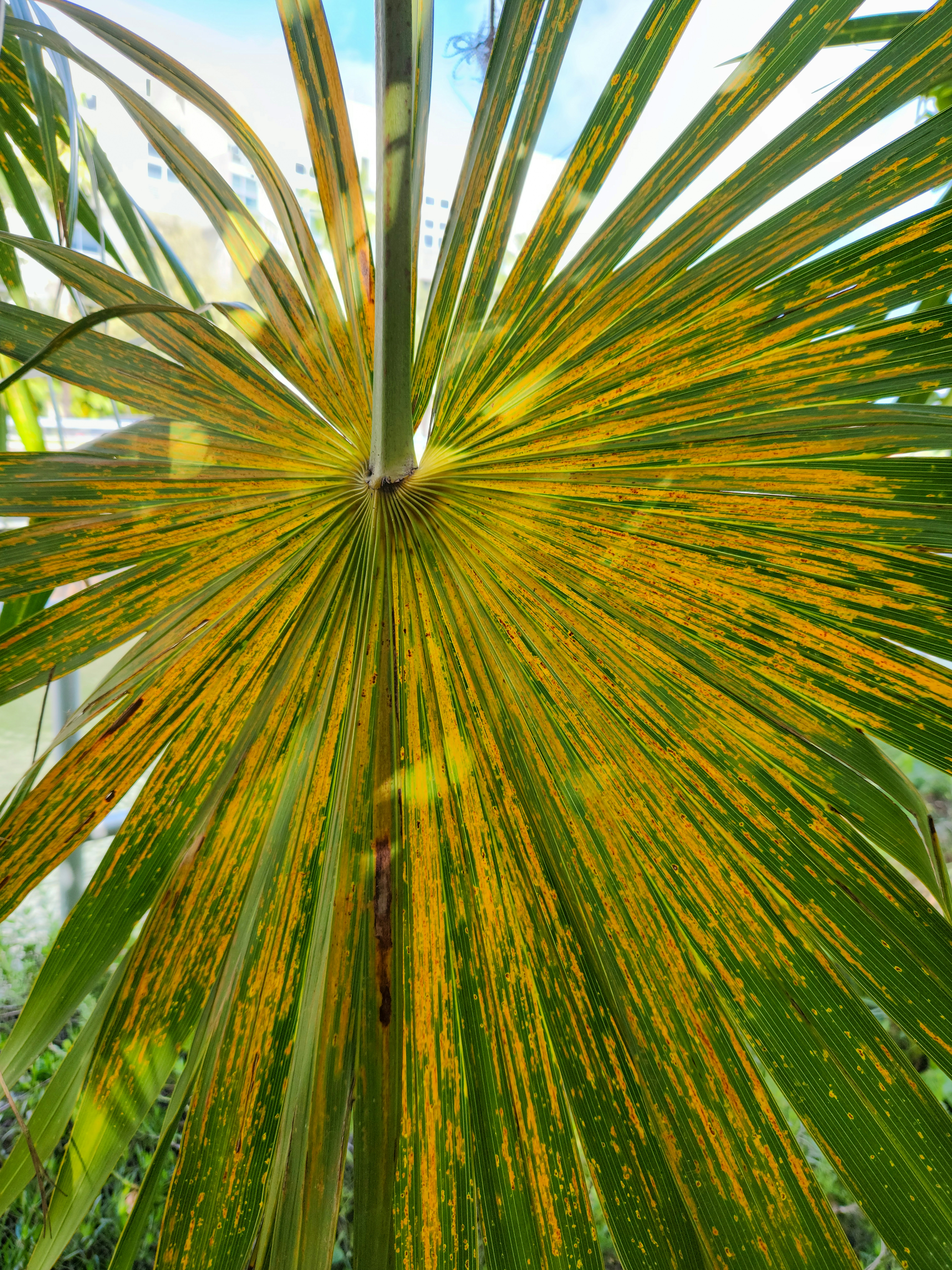 Photo by zoshuacolah