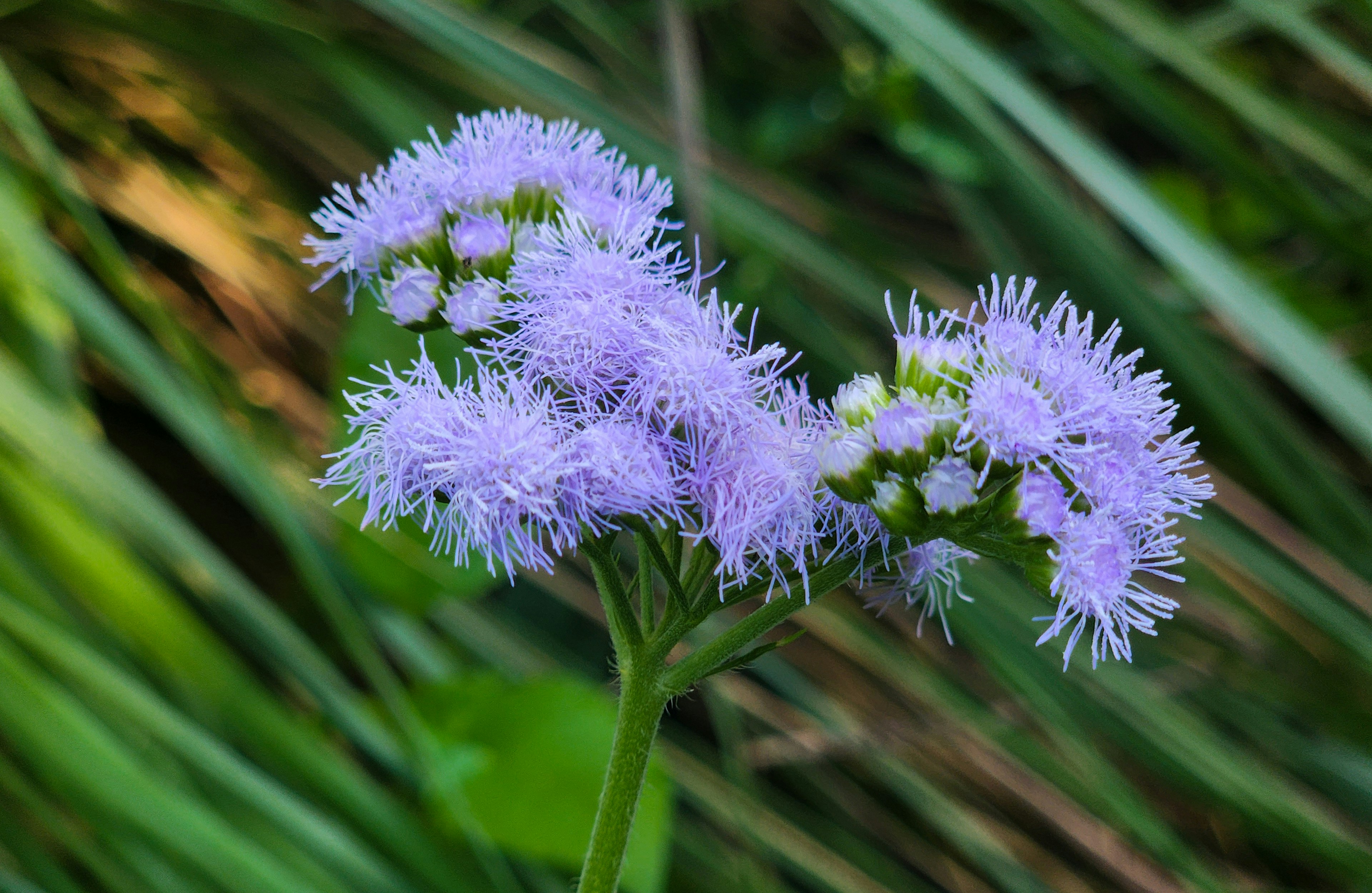 Photo by zoshuacolah