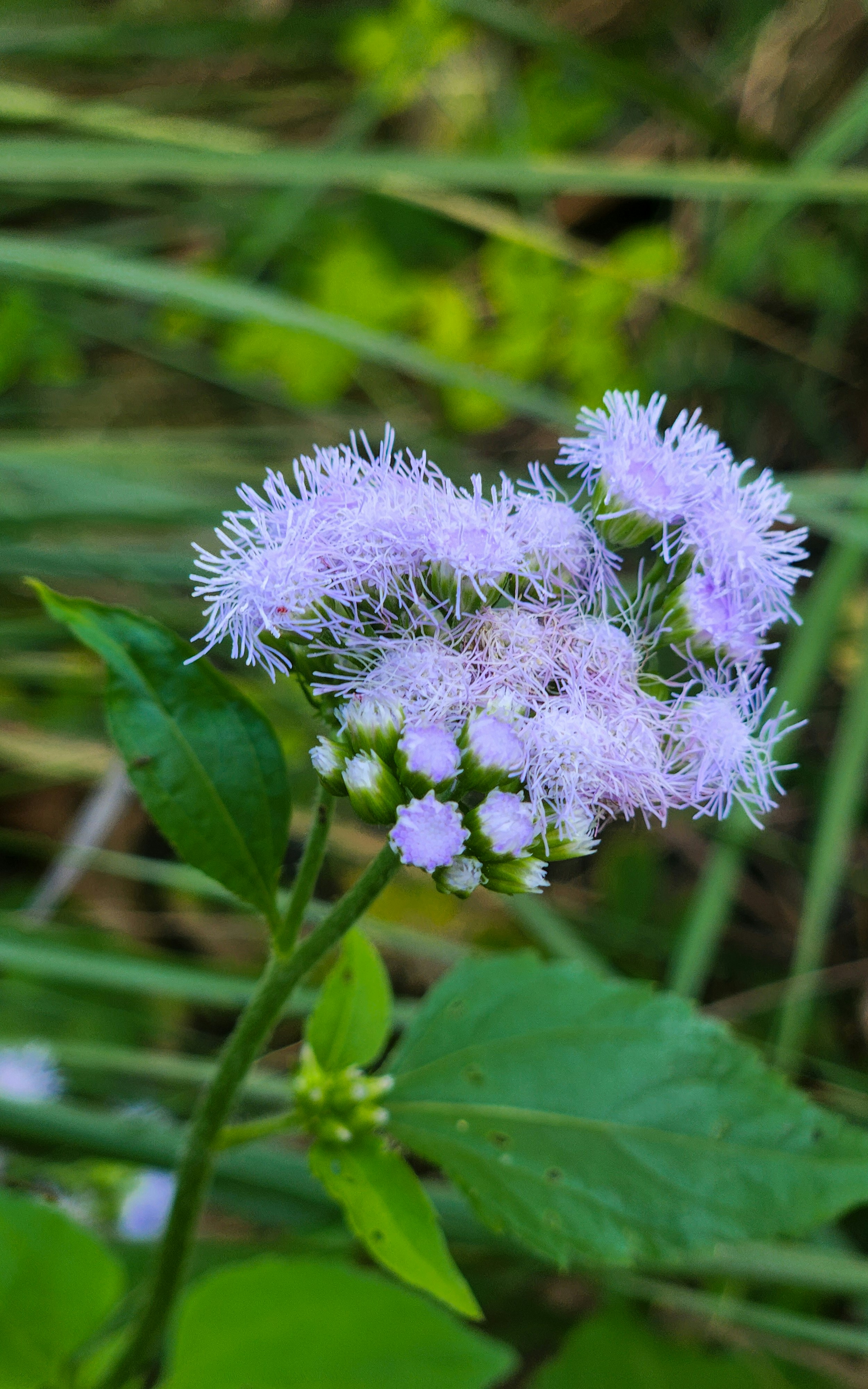 Photo by zoshuacolah