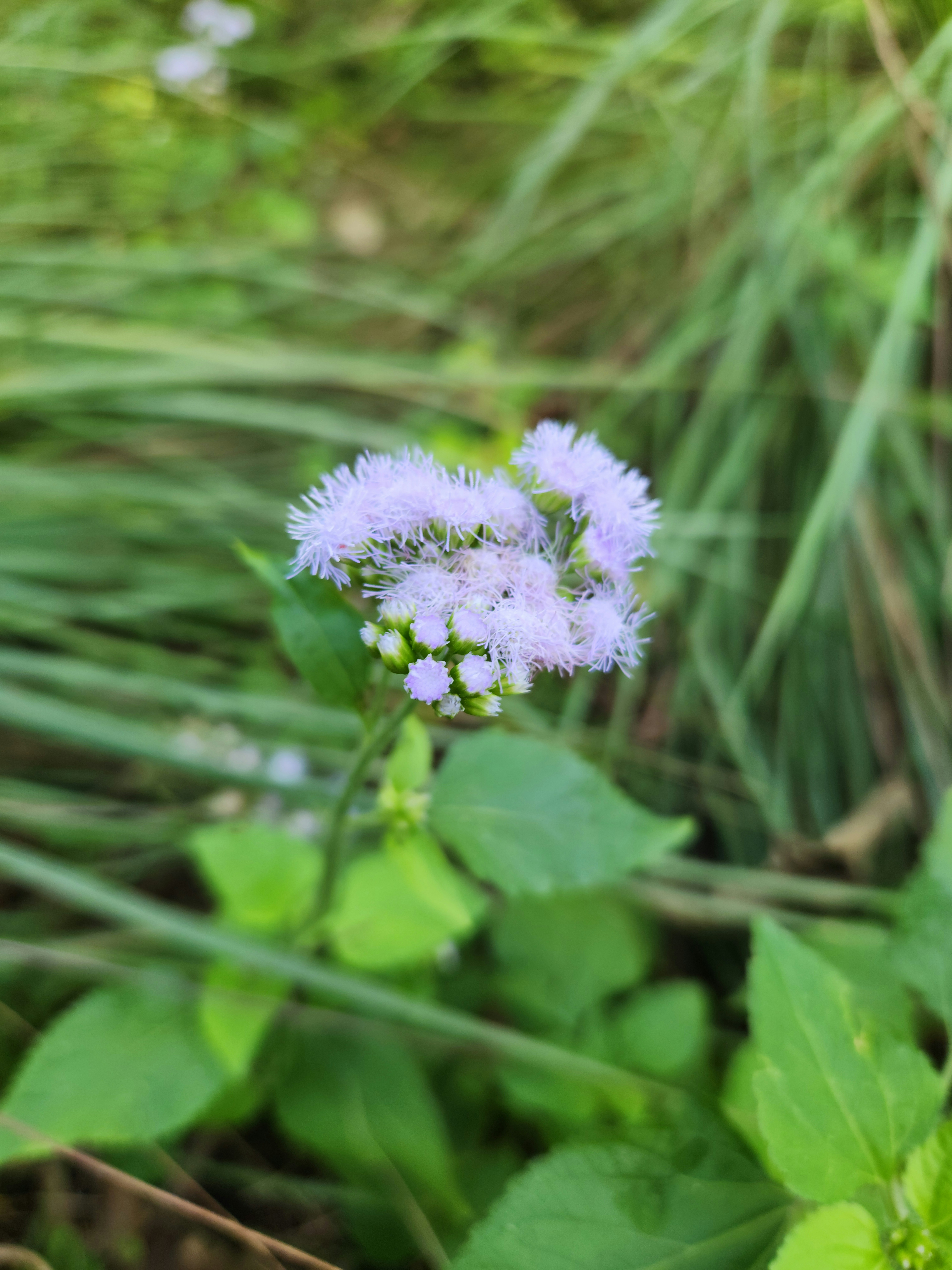 Photo by zoshuacolah