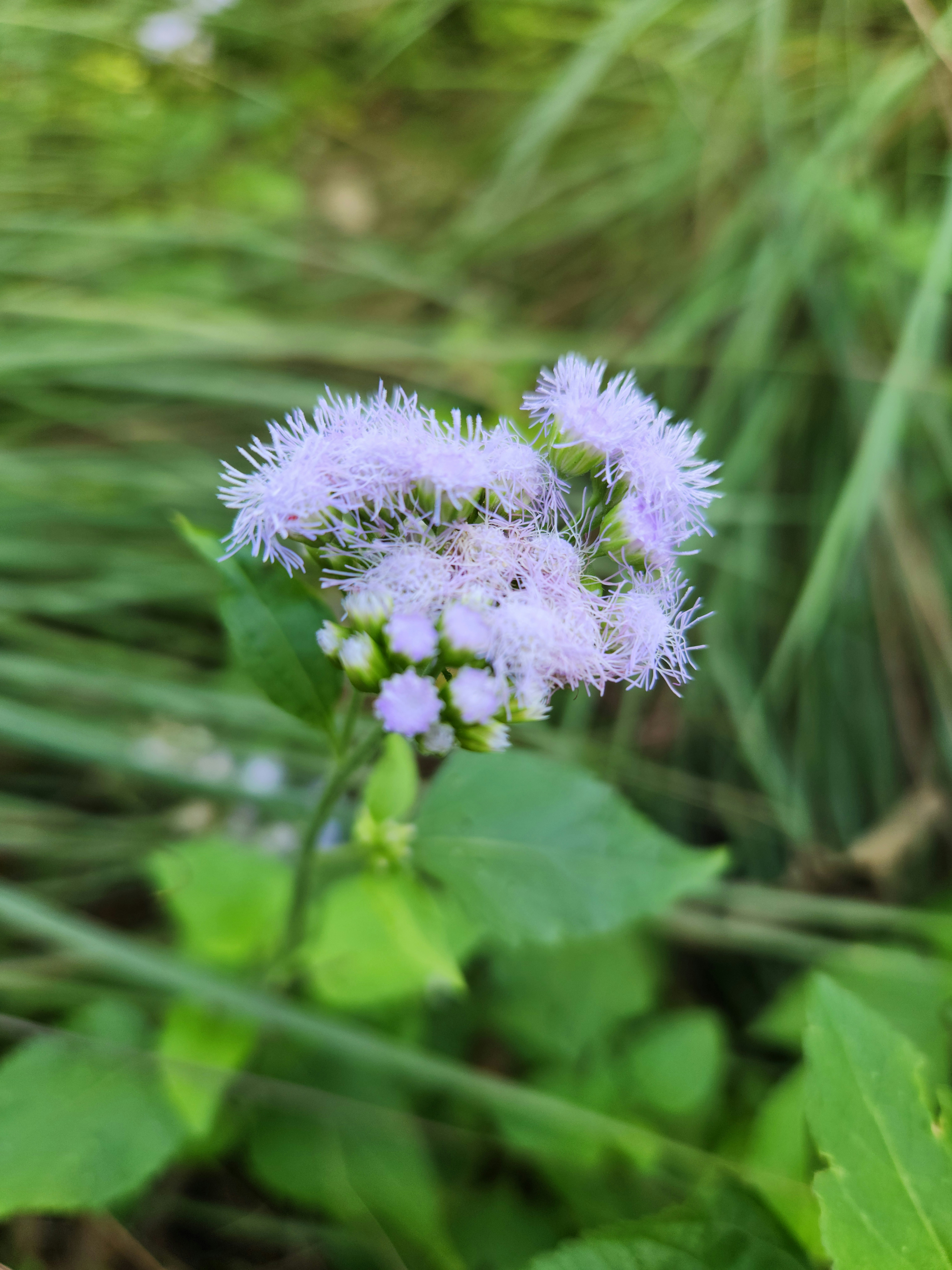 Photo by zoshuacolah