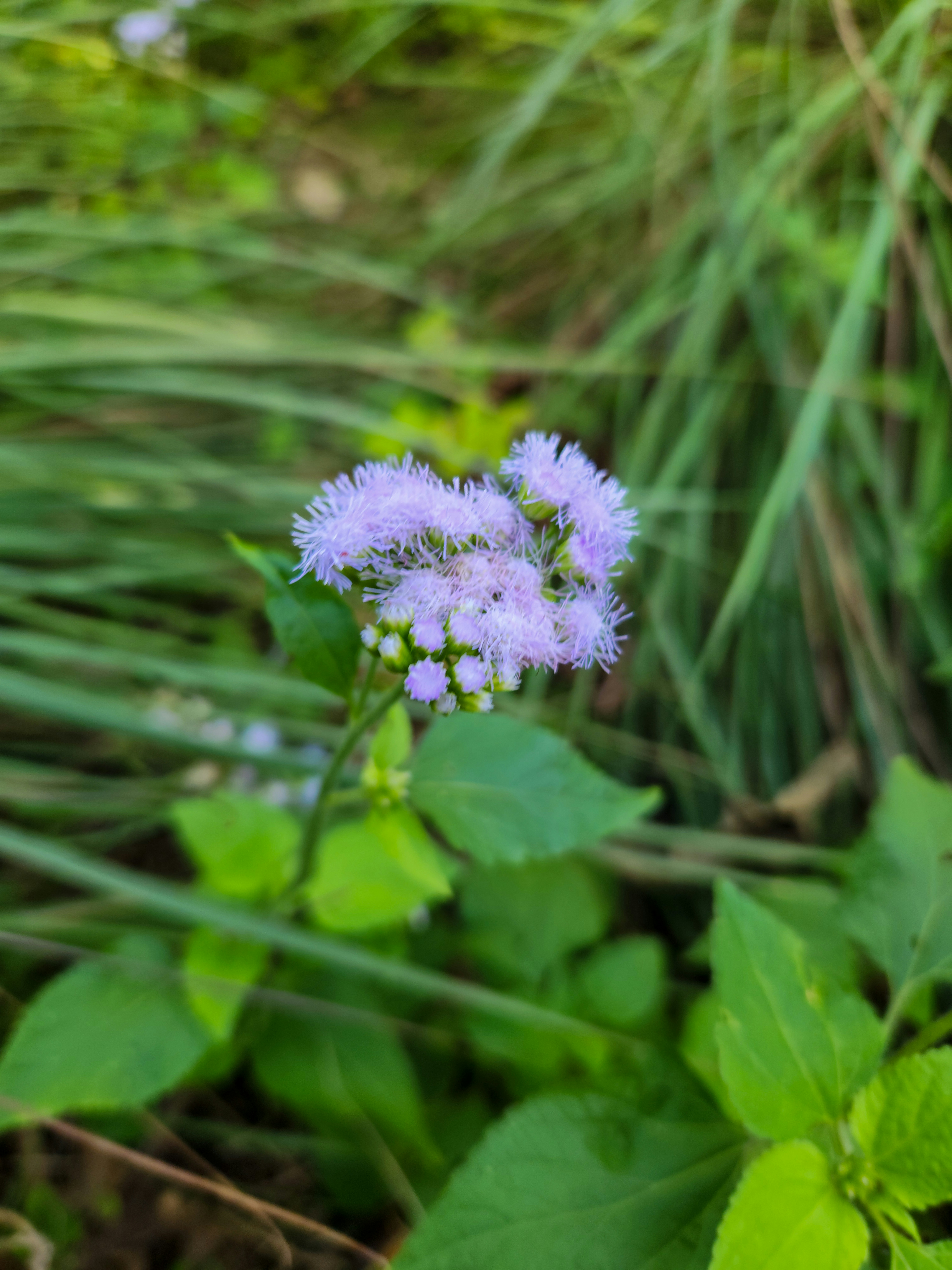 Photo by zoshuacolah