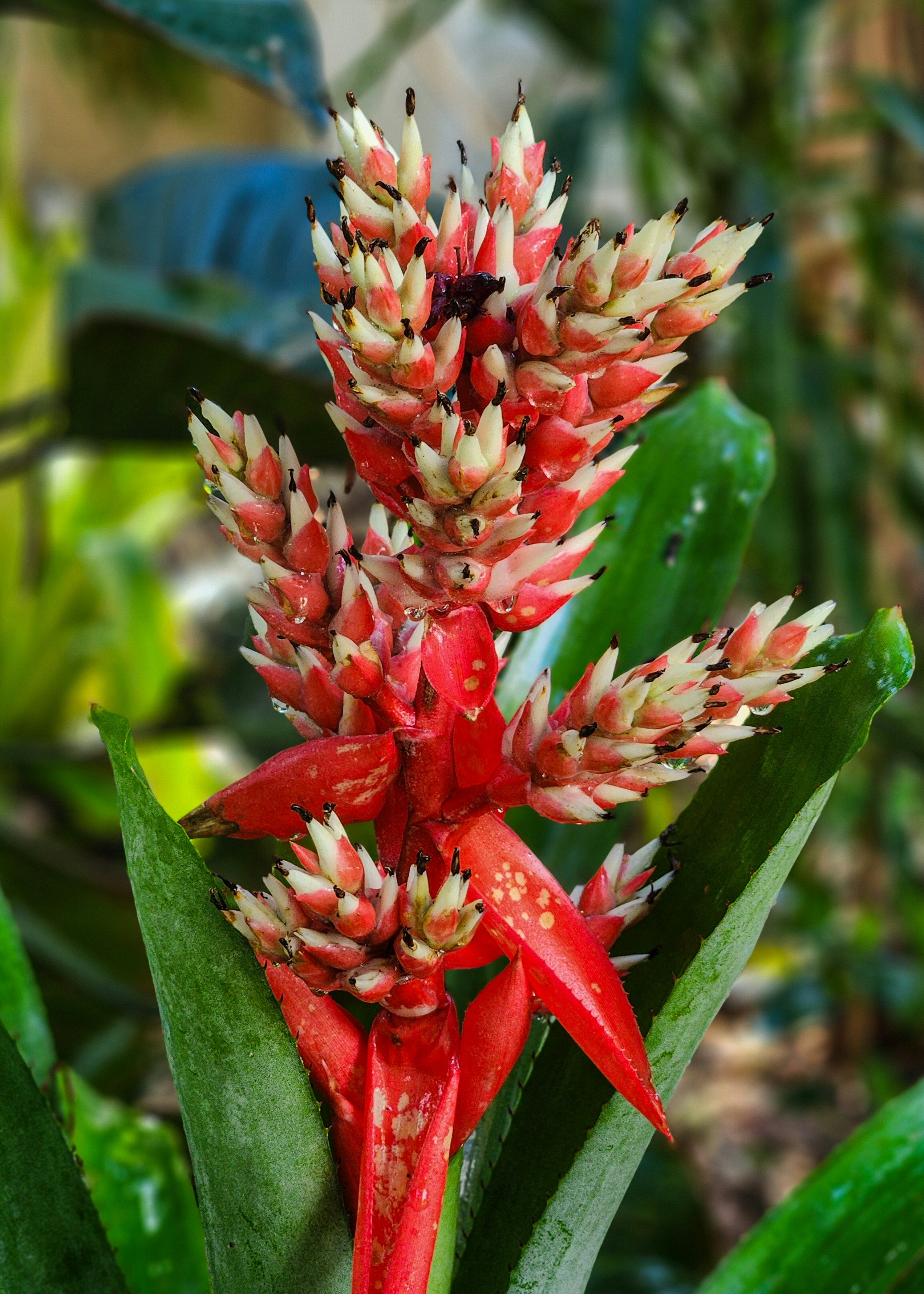 Photo by zoshuacolah