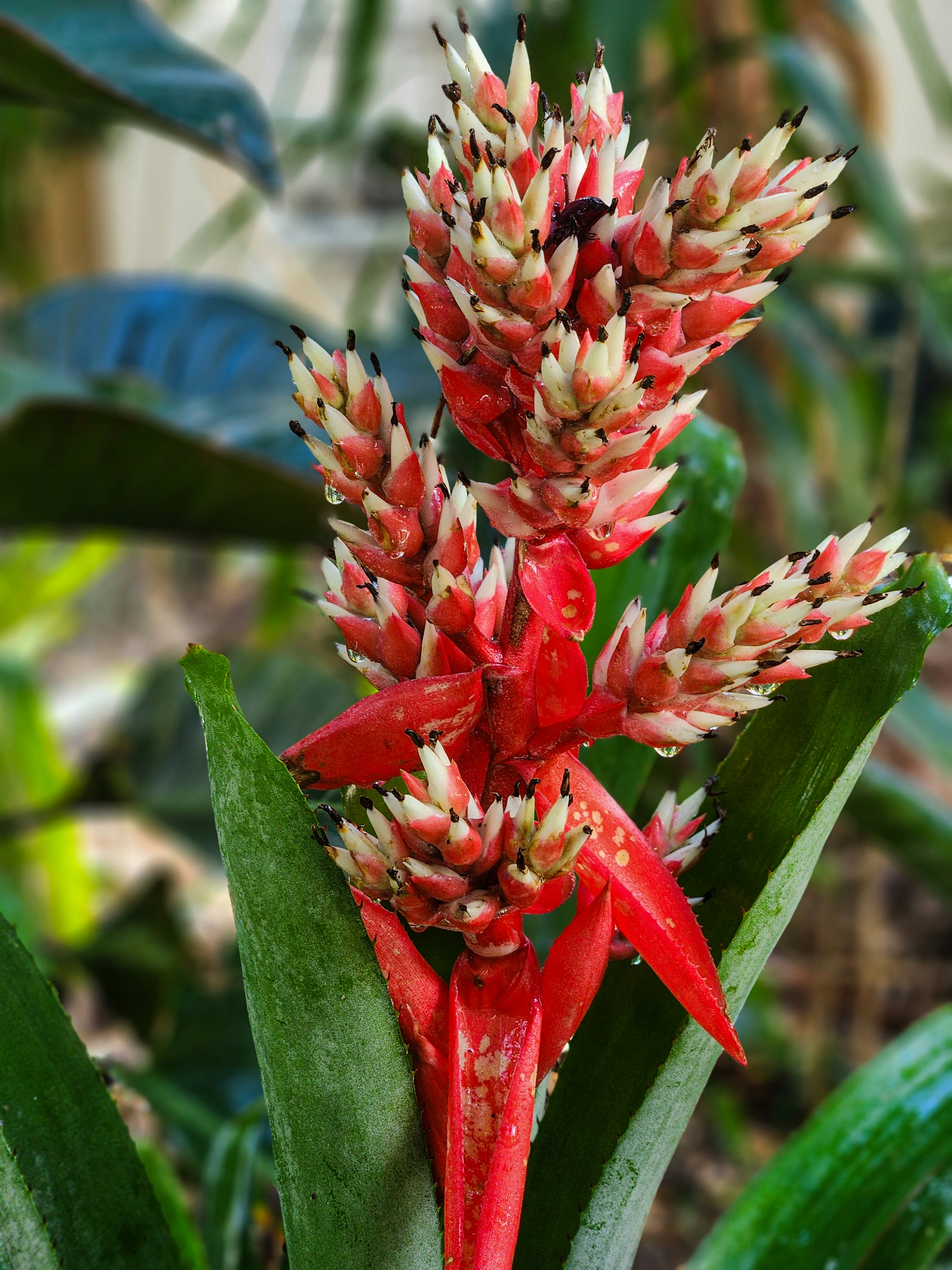 Photo by zoshuacolah