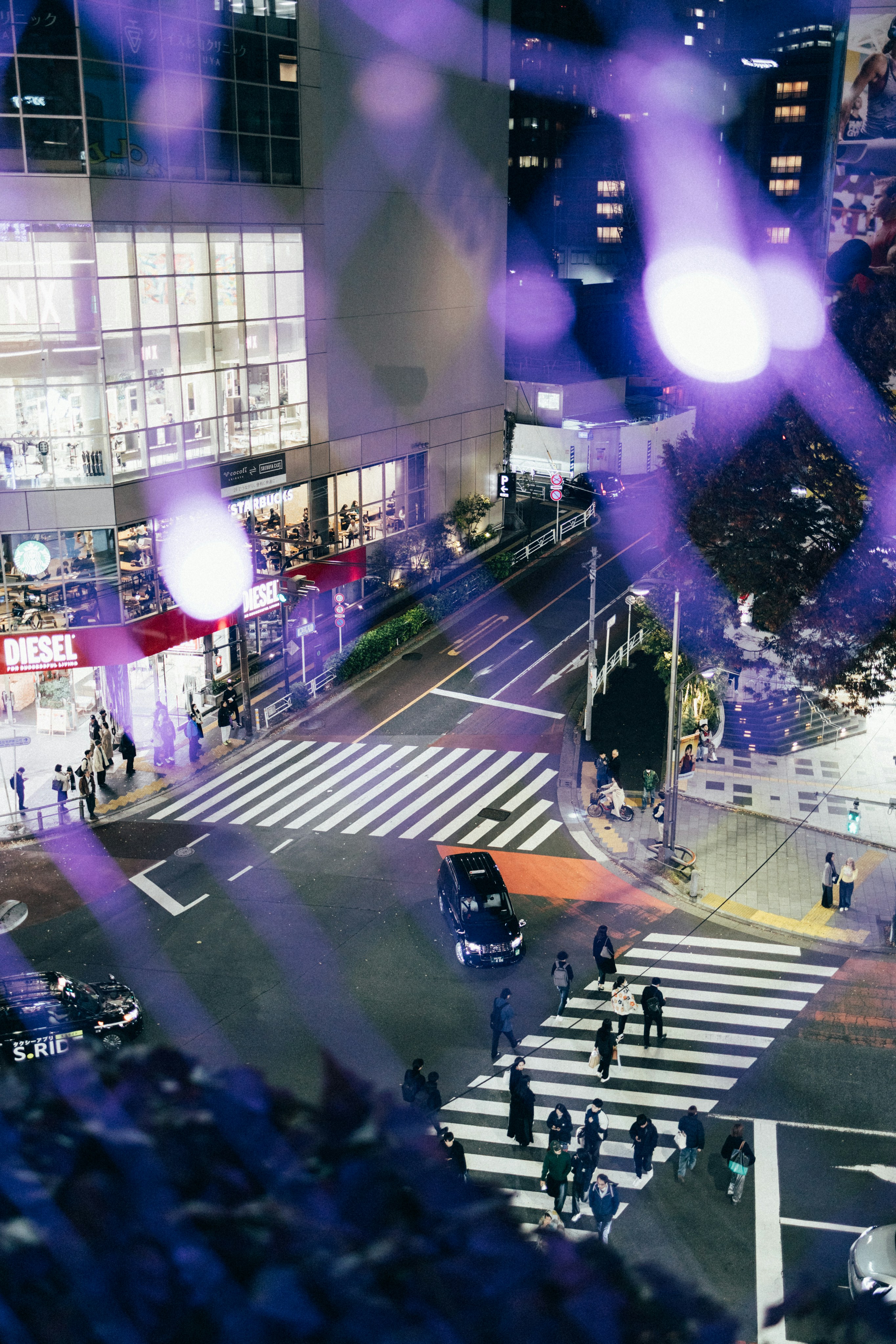 8 Live Music Things to Do in Japan for Music Lovers