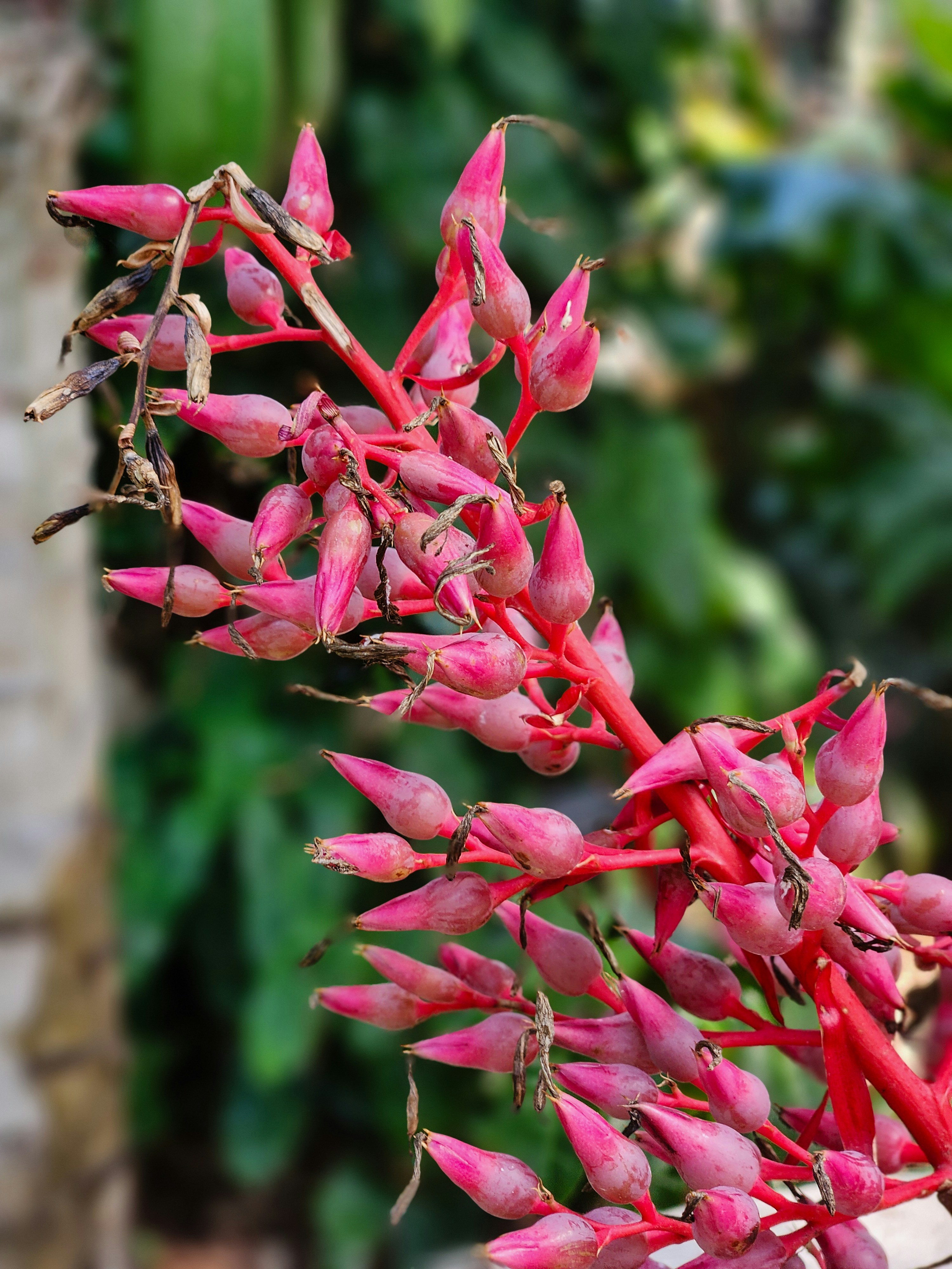 Photo by zoshuacolah