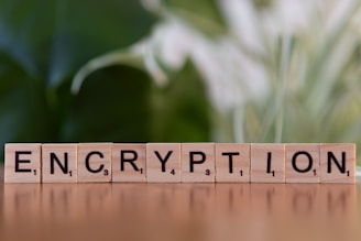A wooden block spelling the word encryption on a table