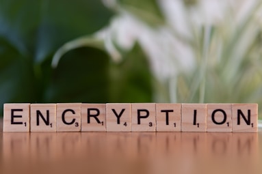 A wooden block spelling the word encryption on a table