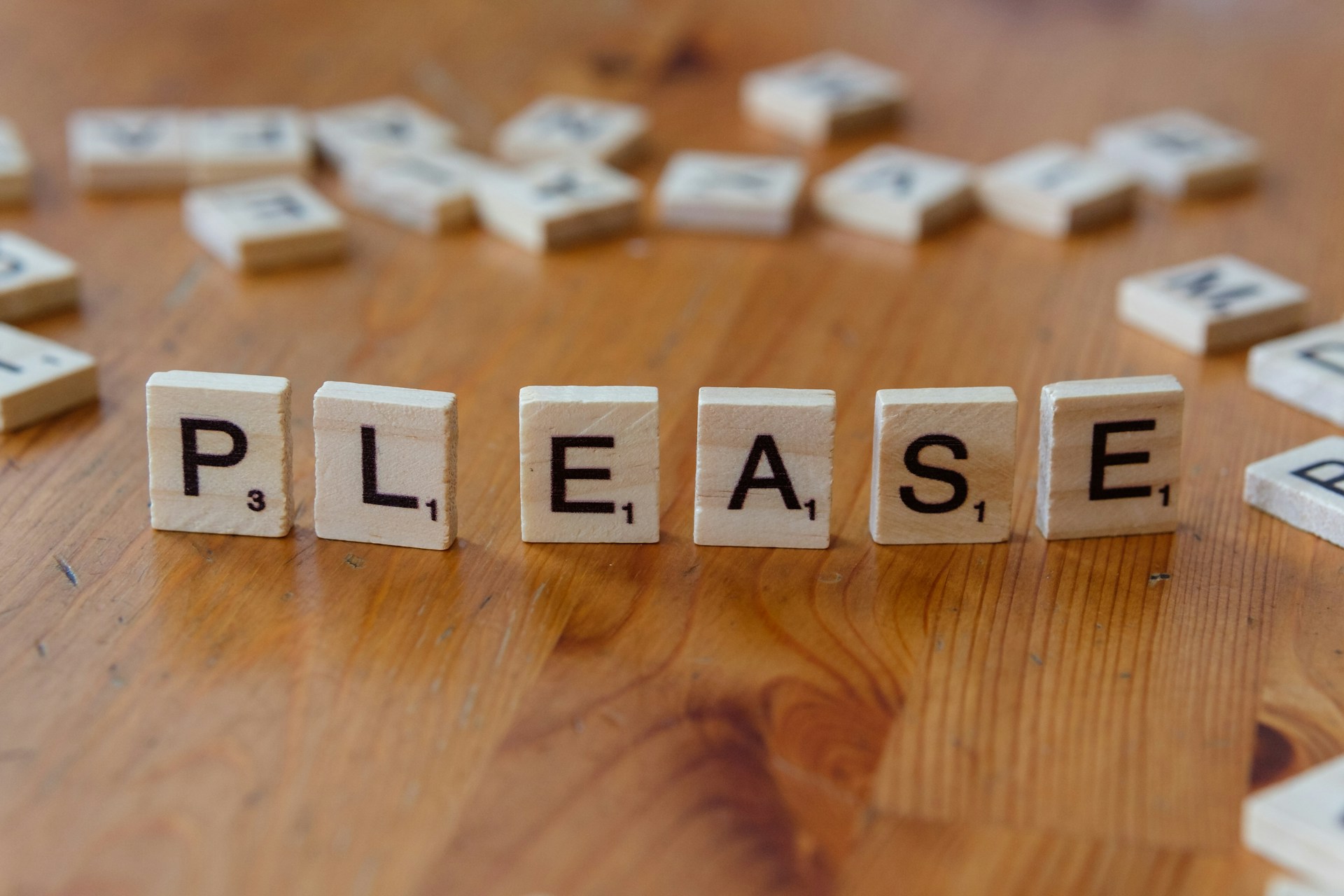 A close up of a wooden block spelling please