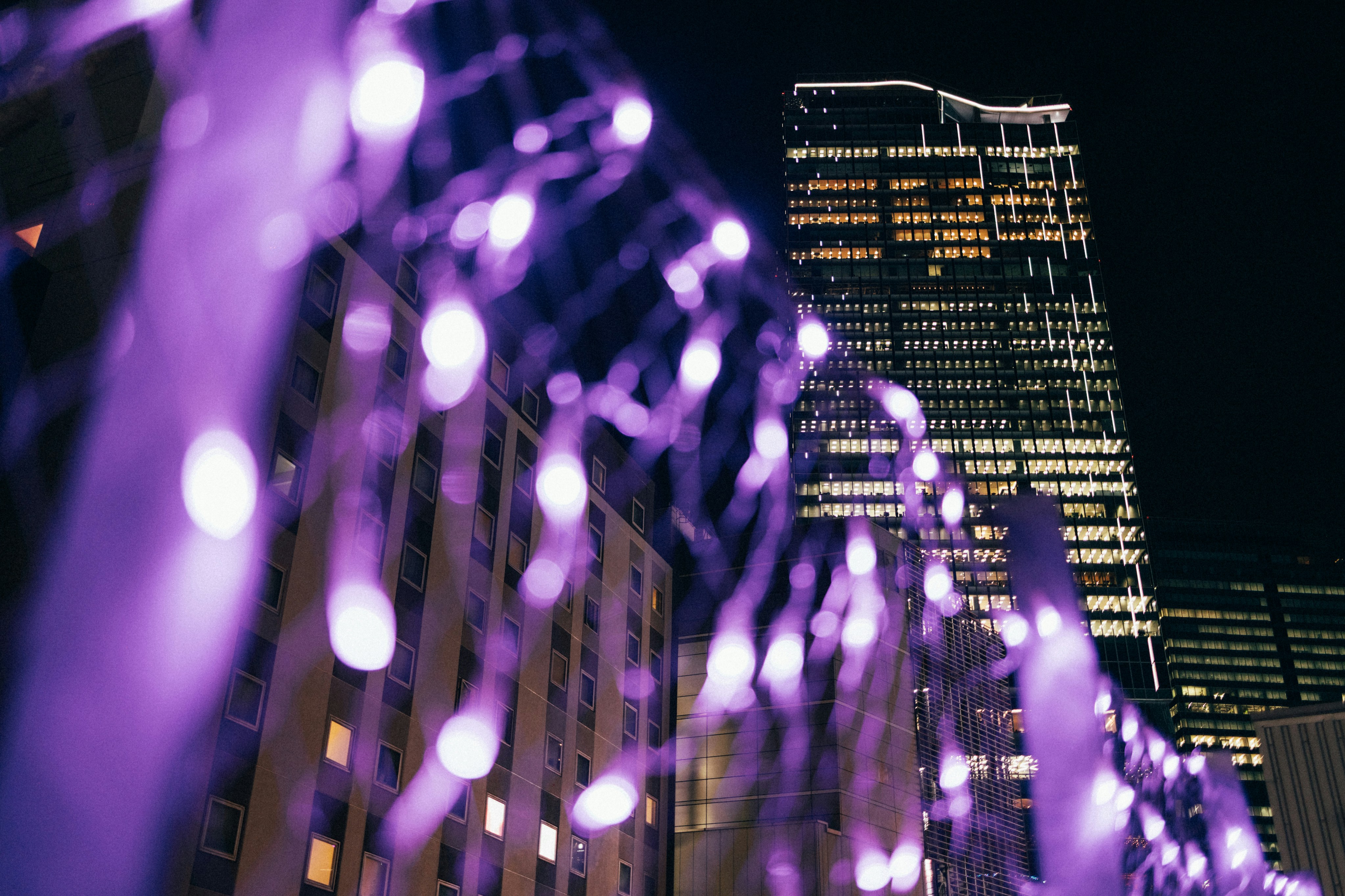 Photo by tsuyoshikozu