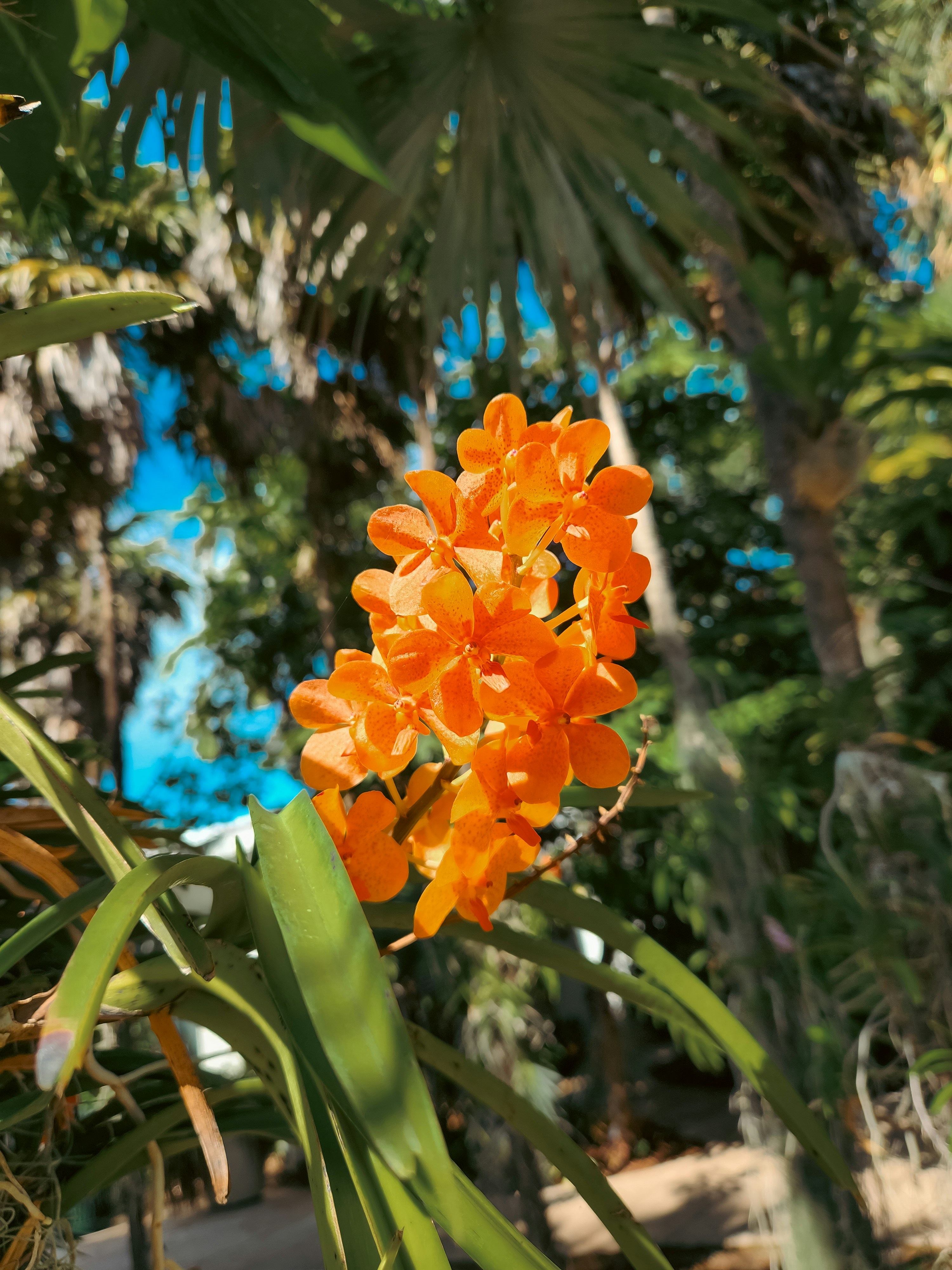 Photo by zoshuacolah