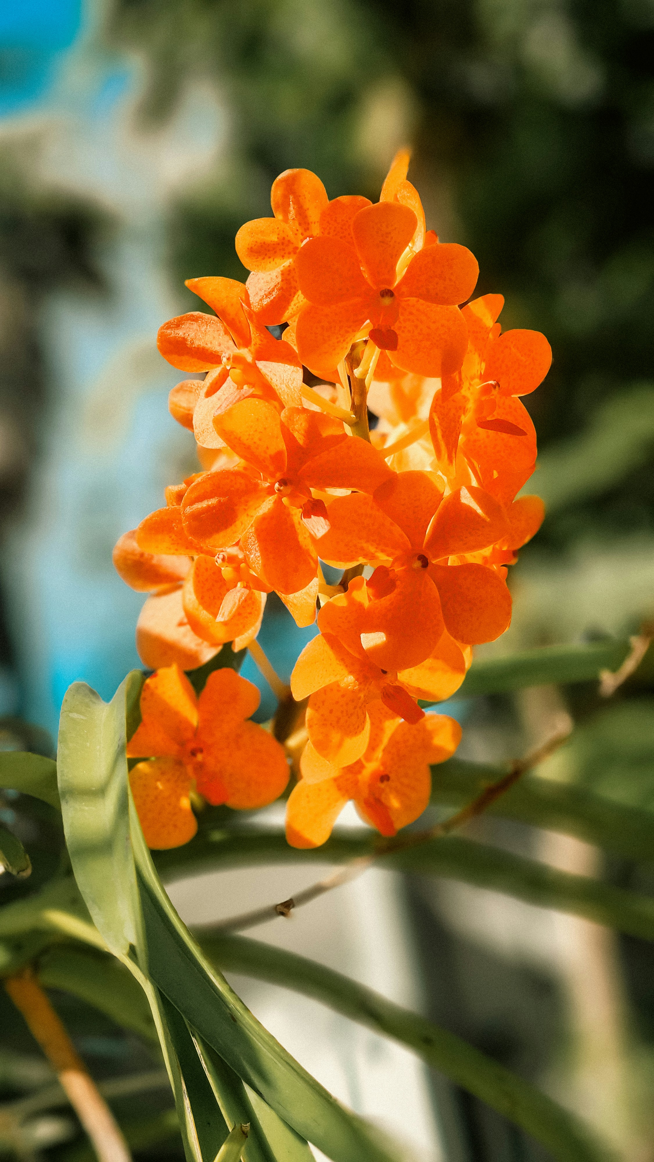 Photo by zoshuacolah