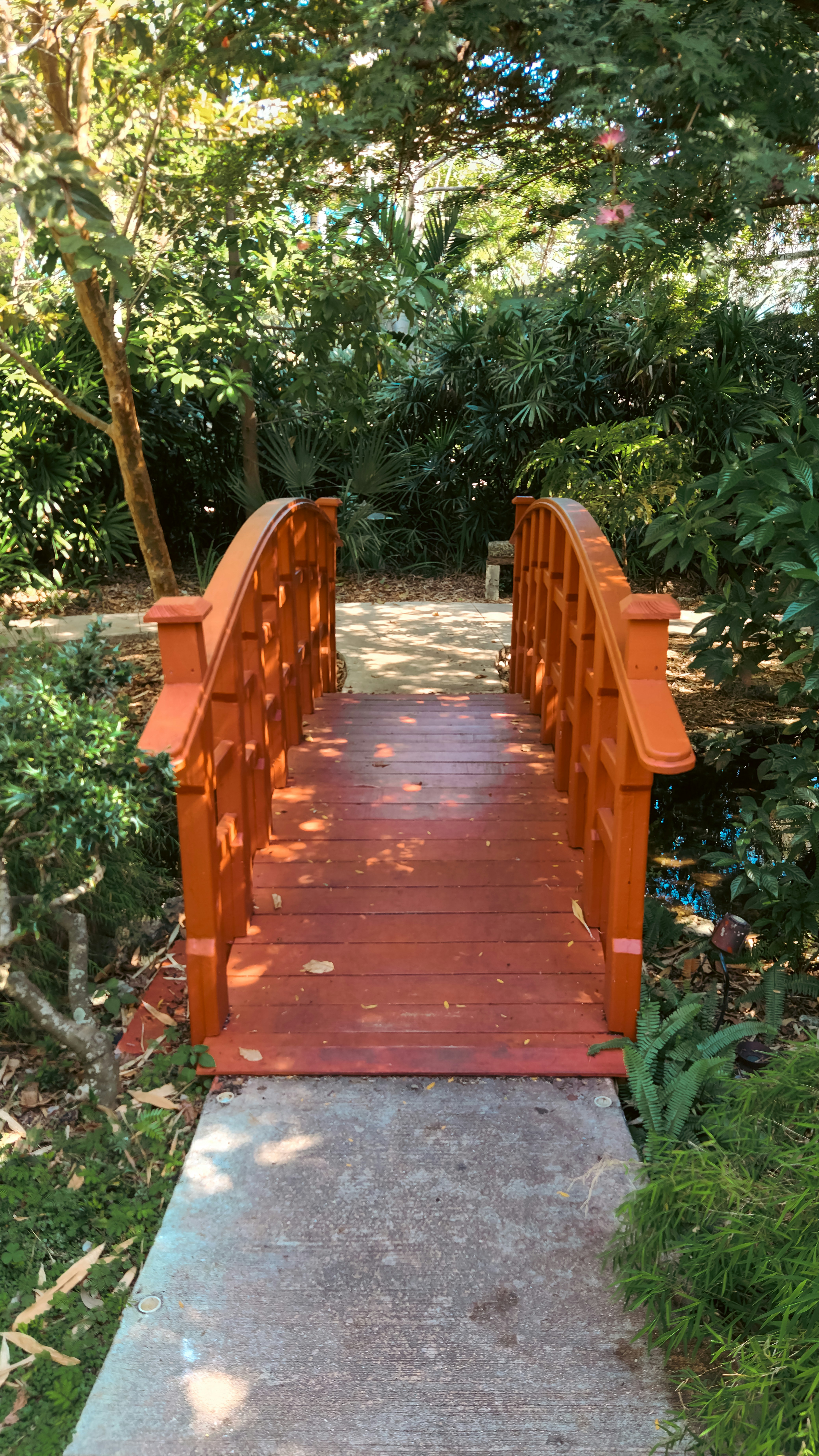 A wooden bridge over a small stream in a park