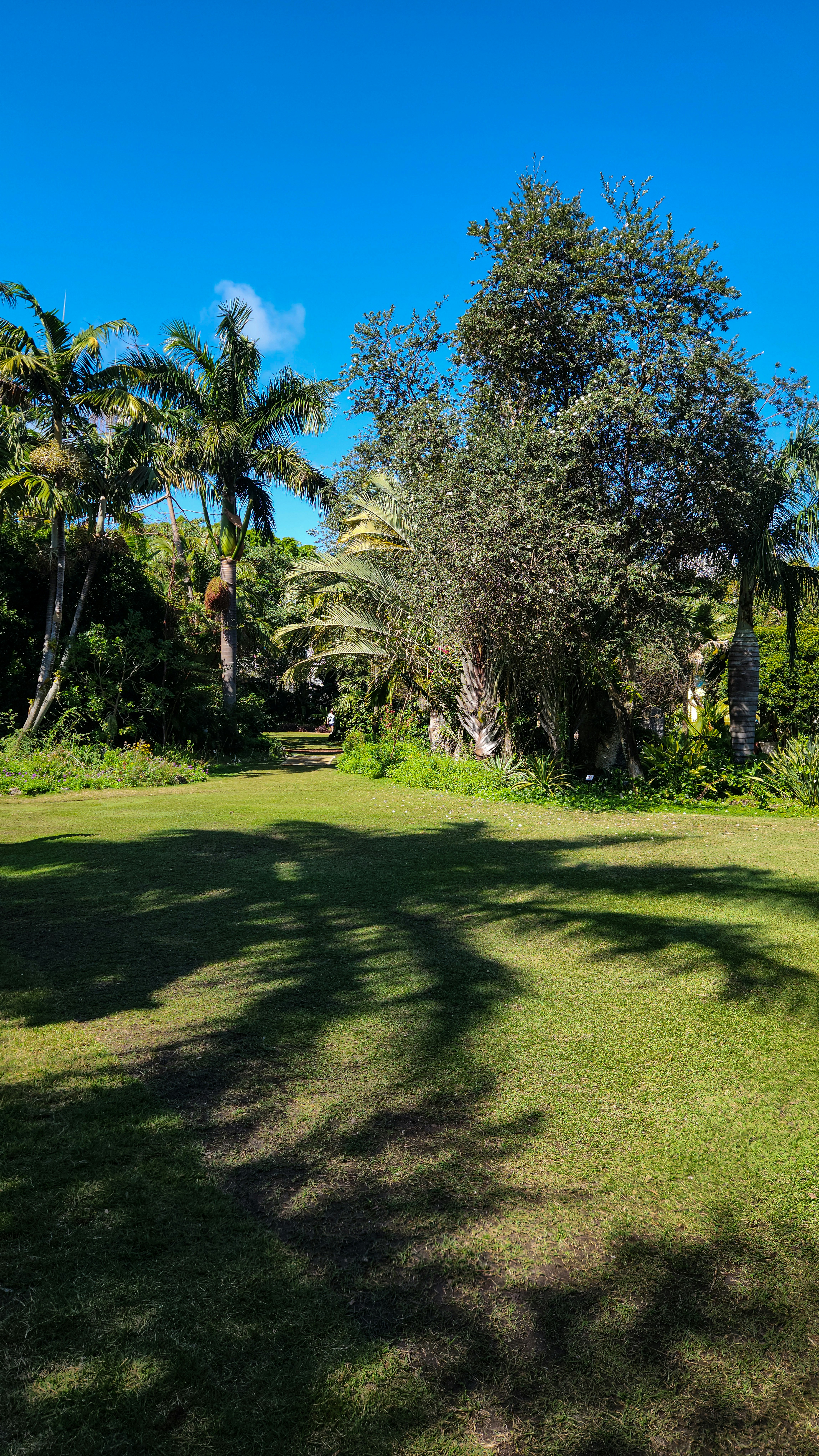 Photo by zoshuacolah