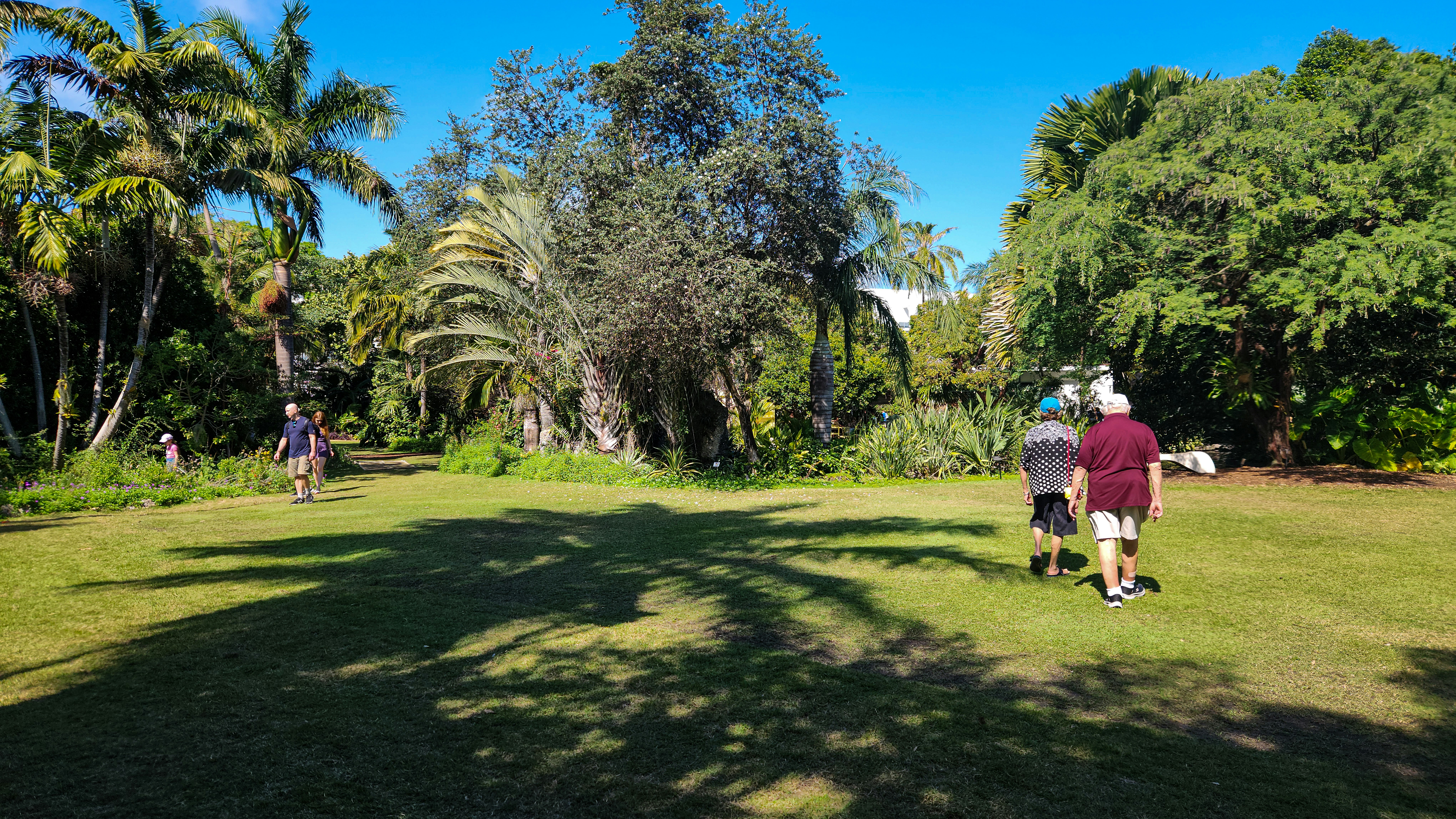 A group of people standing on top of a lush green field