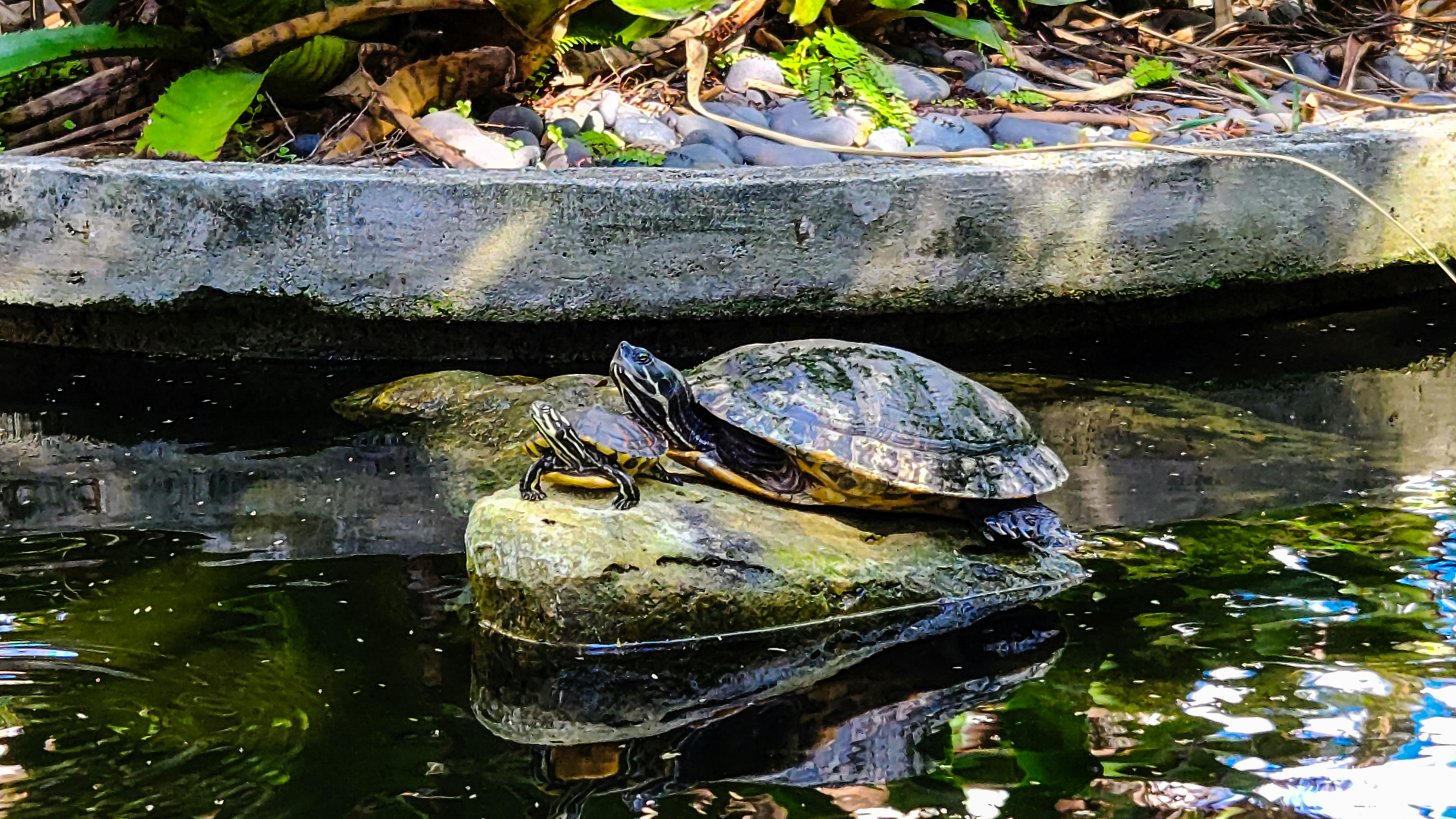 Photo by zoshuacolah