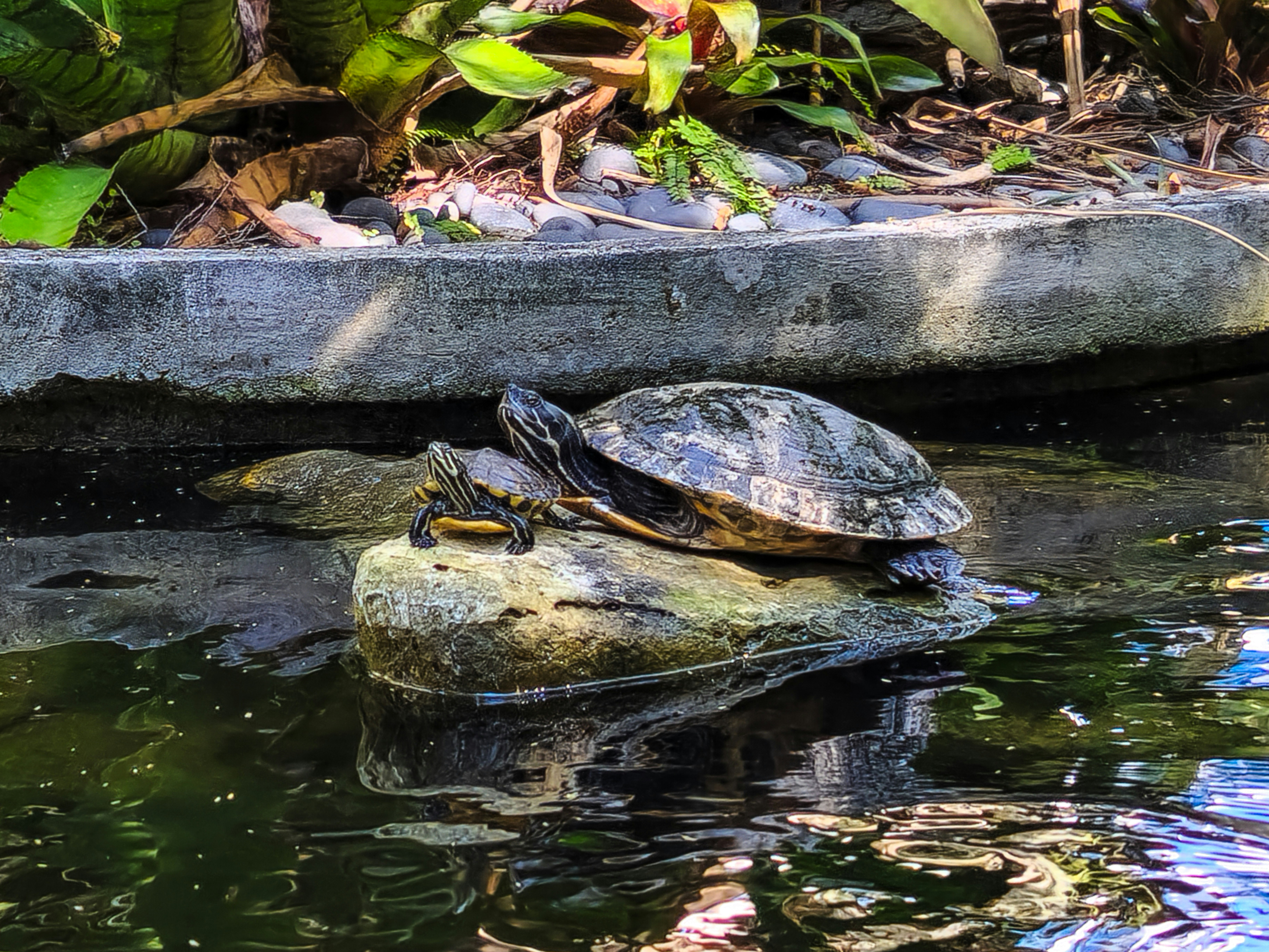 Photo by zoshuacolah