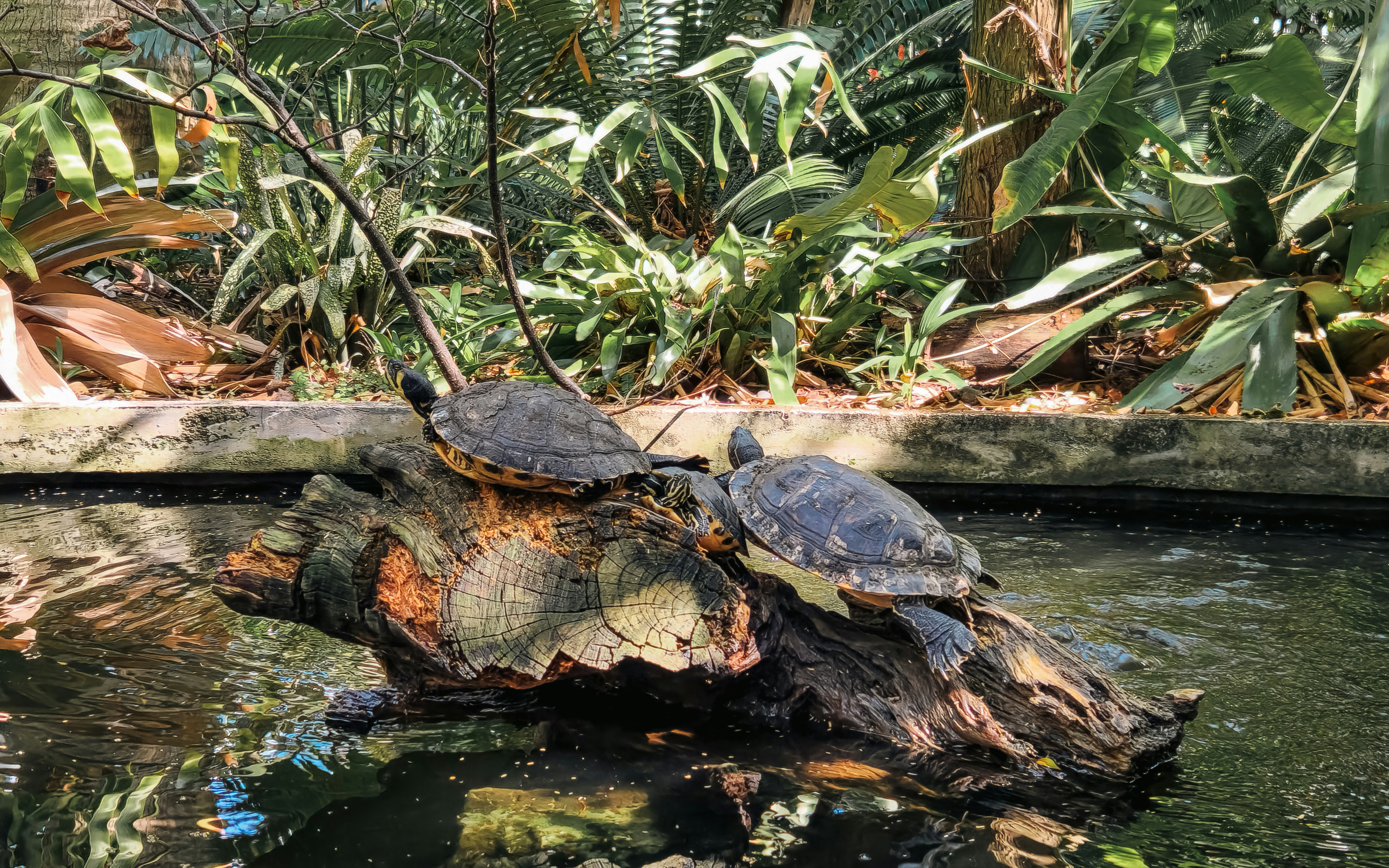 Photo by zoshuacolah