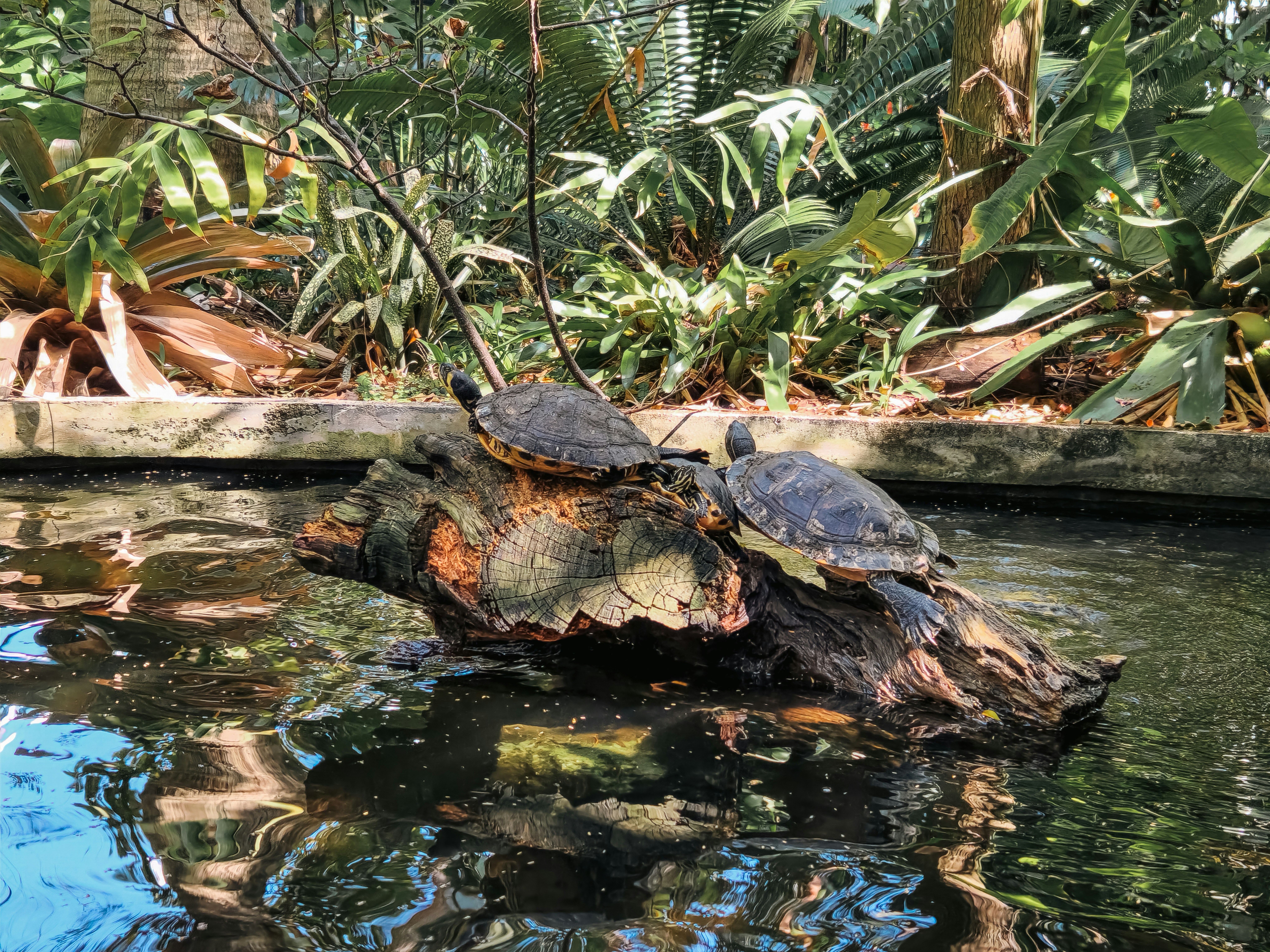 Photo by zoshuacolah