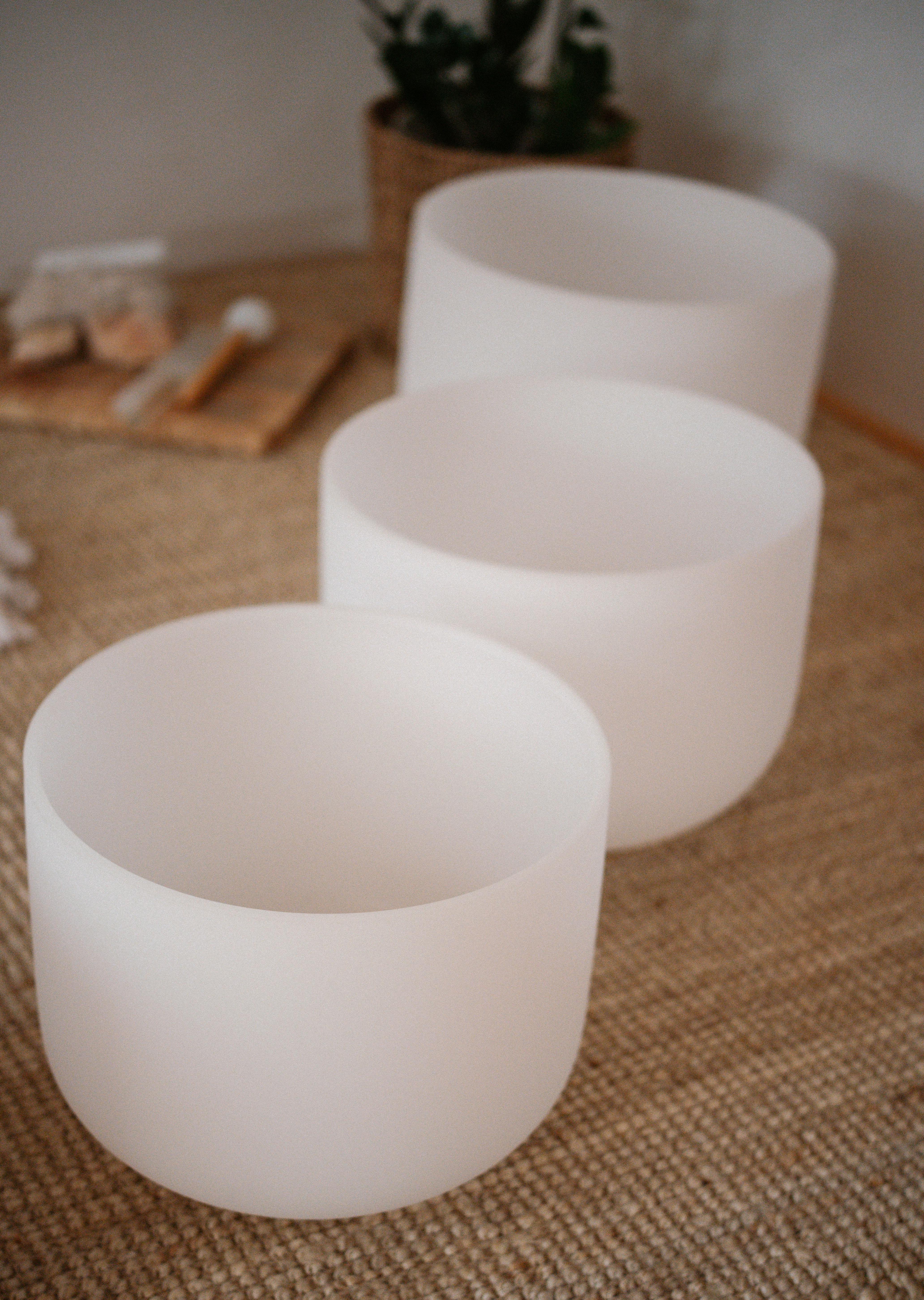 Photo by raymondpetrik