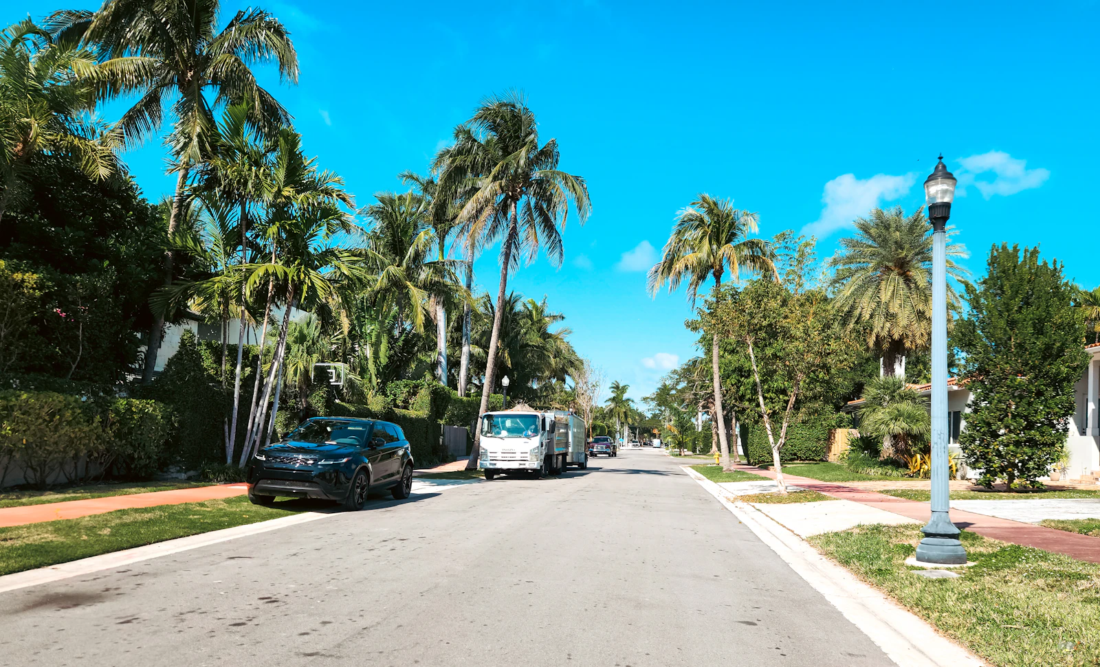 Residential street lined with palm trees on a sunny day