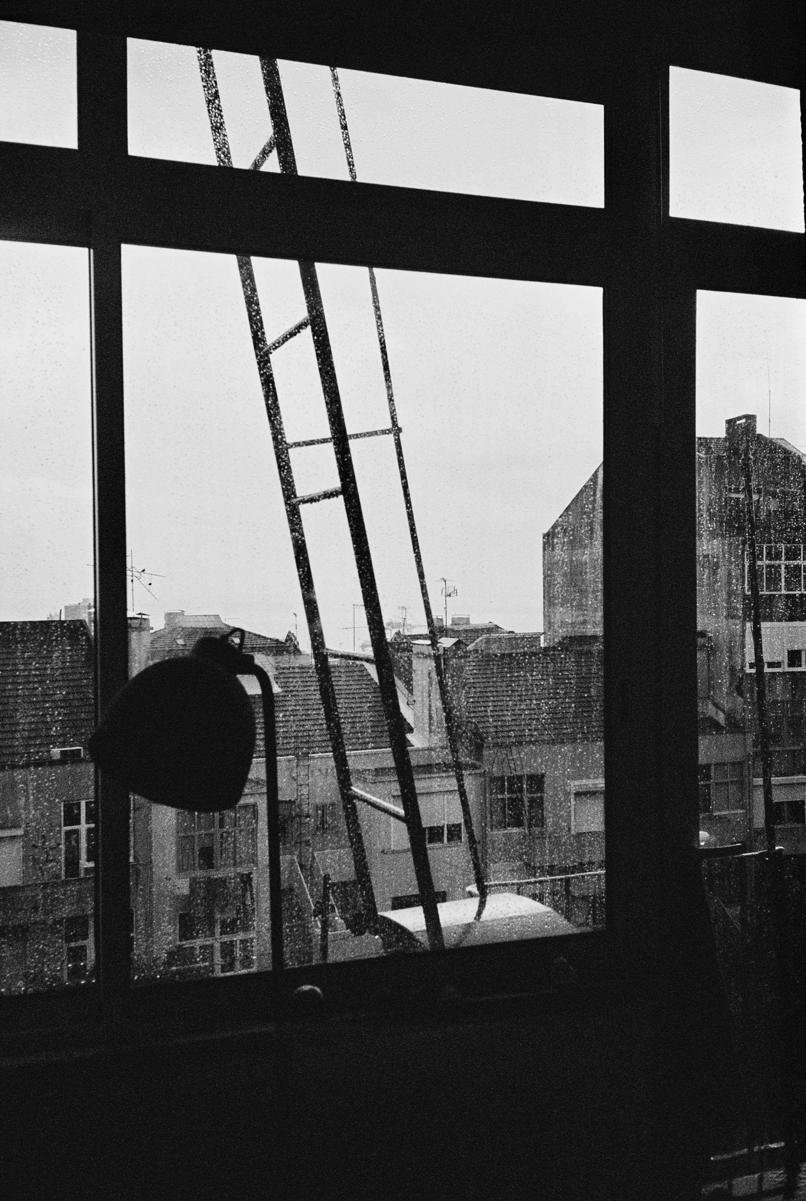 A black and white photo of a ladder leaning against a window photo ...