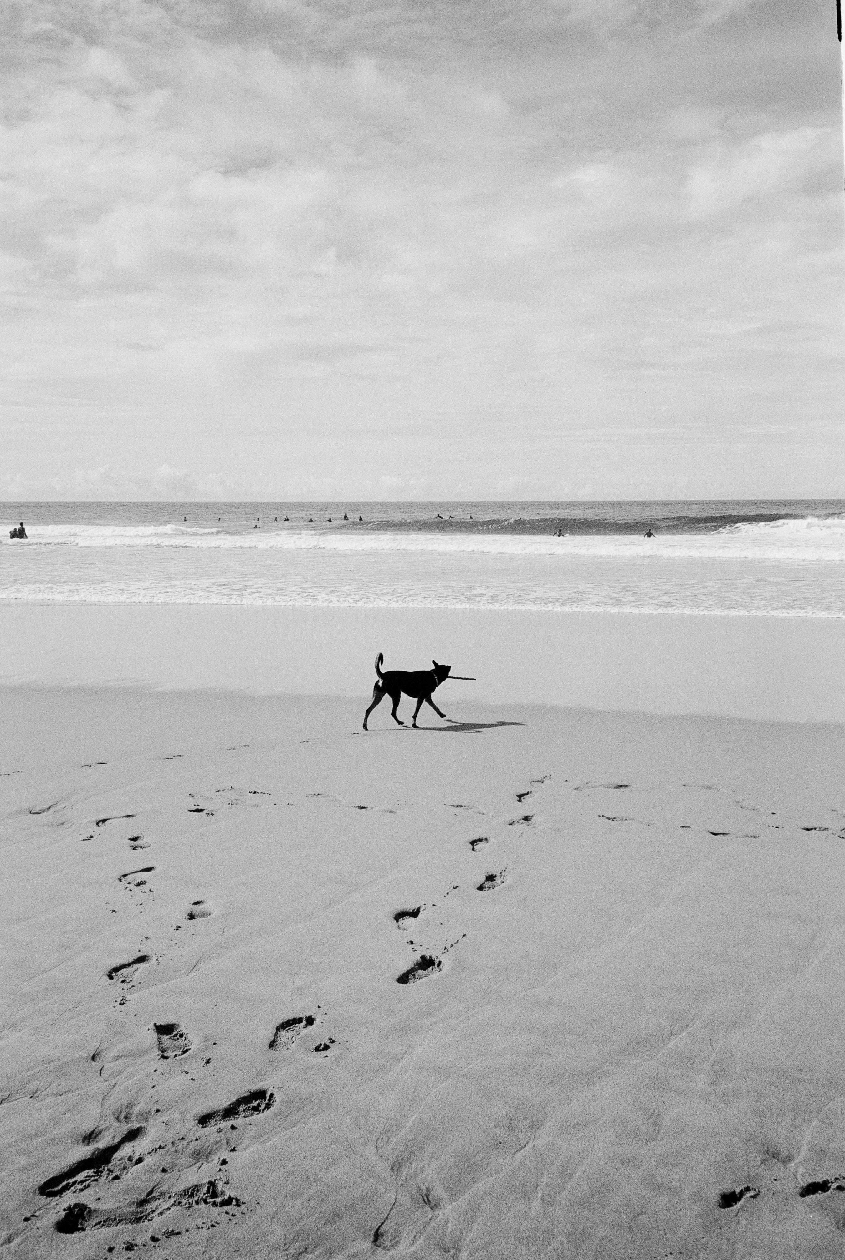 Photo by brmnkv