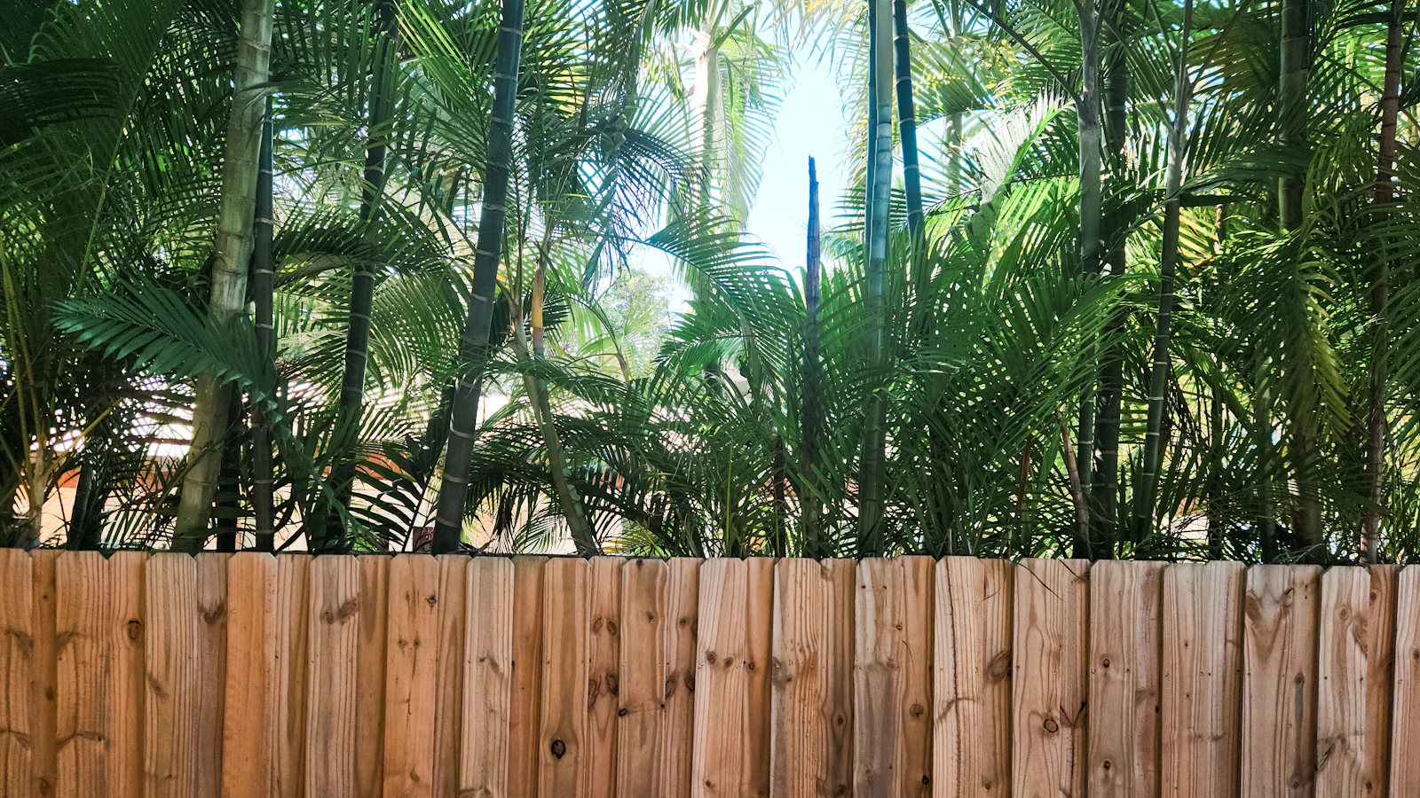 Fence Installation & Repair in Palm Bay, FL: A Space Coast Homeowner’s Guide for Brevard County Weather