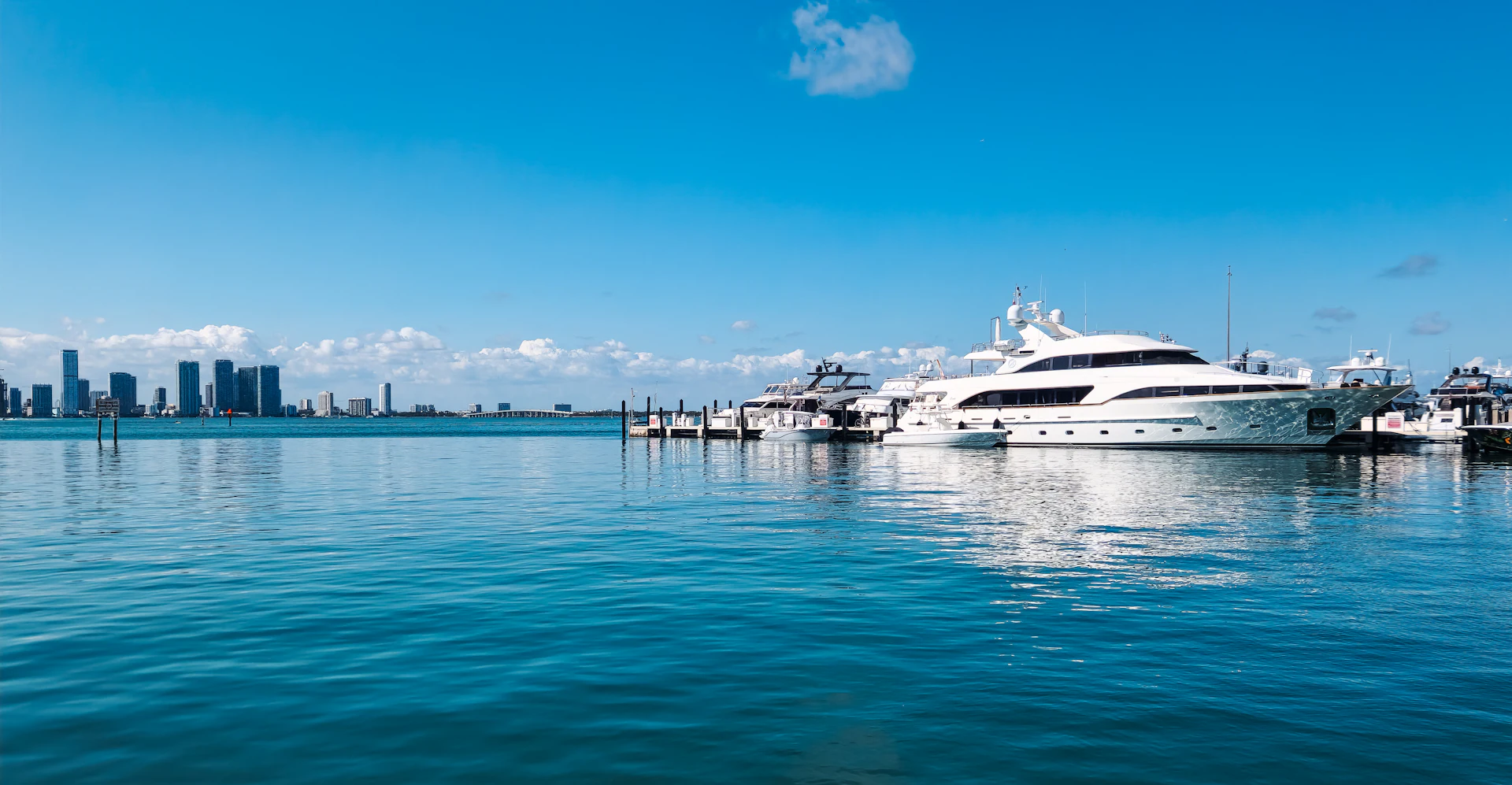 Motor yachts at a marina with a city skyline across the bay