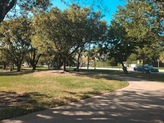 A park with trees and a car parked on the side of the road