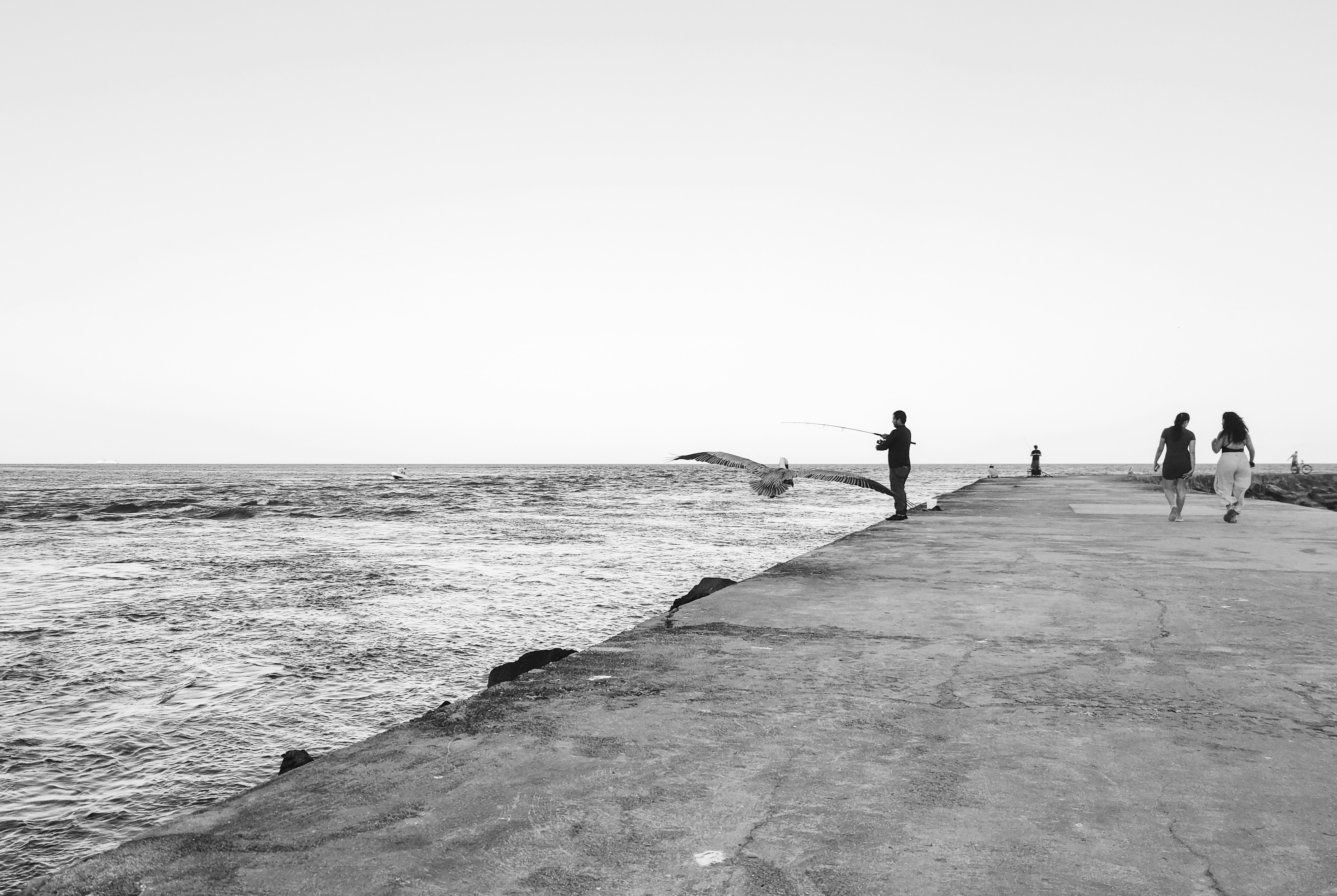 Photo by zoshuacolah