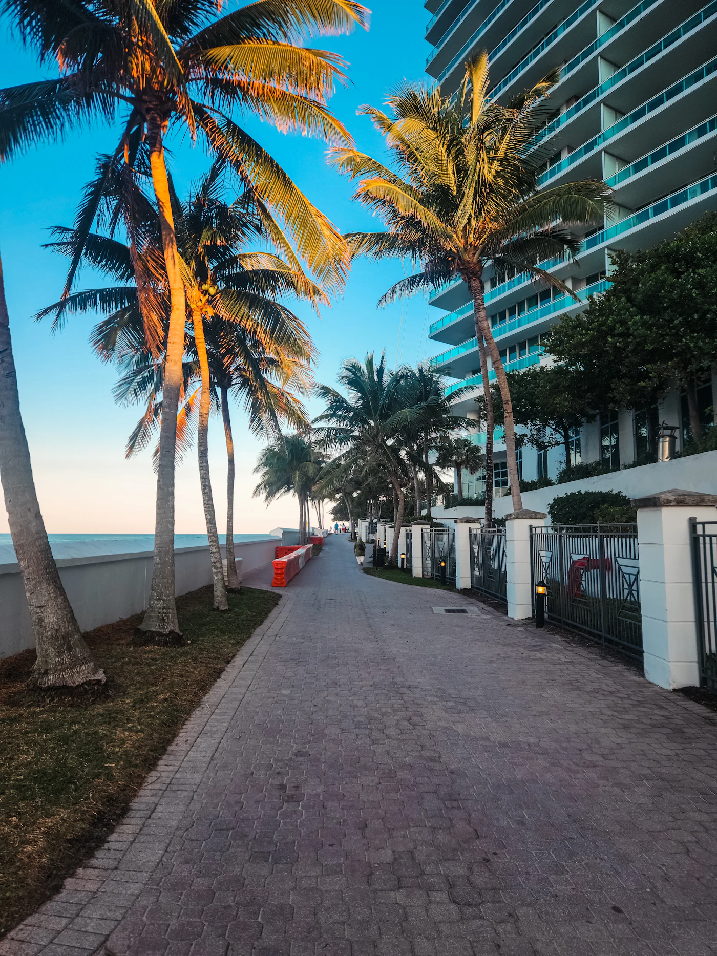 A palm-lined oceanfront path beside condominium towers on Florida’s southeast coast.