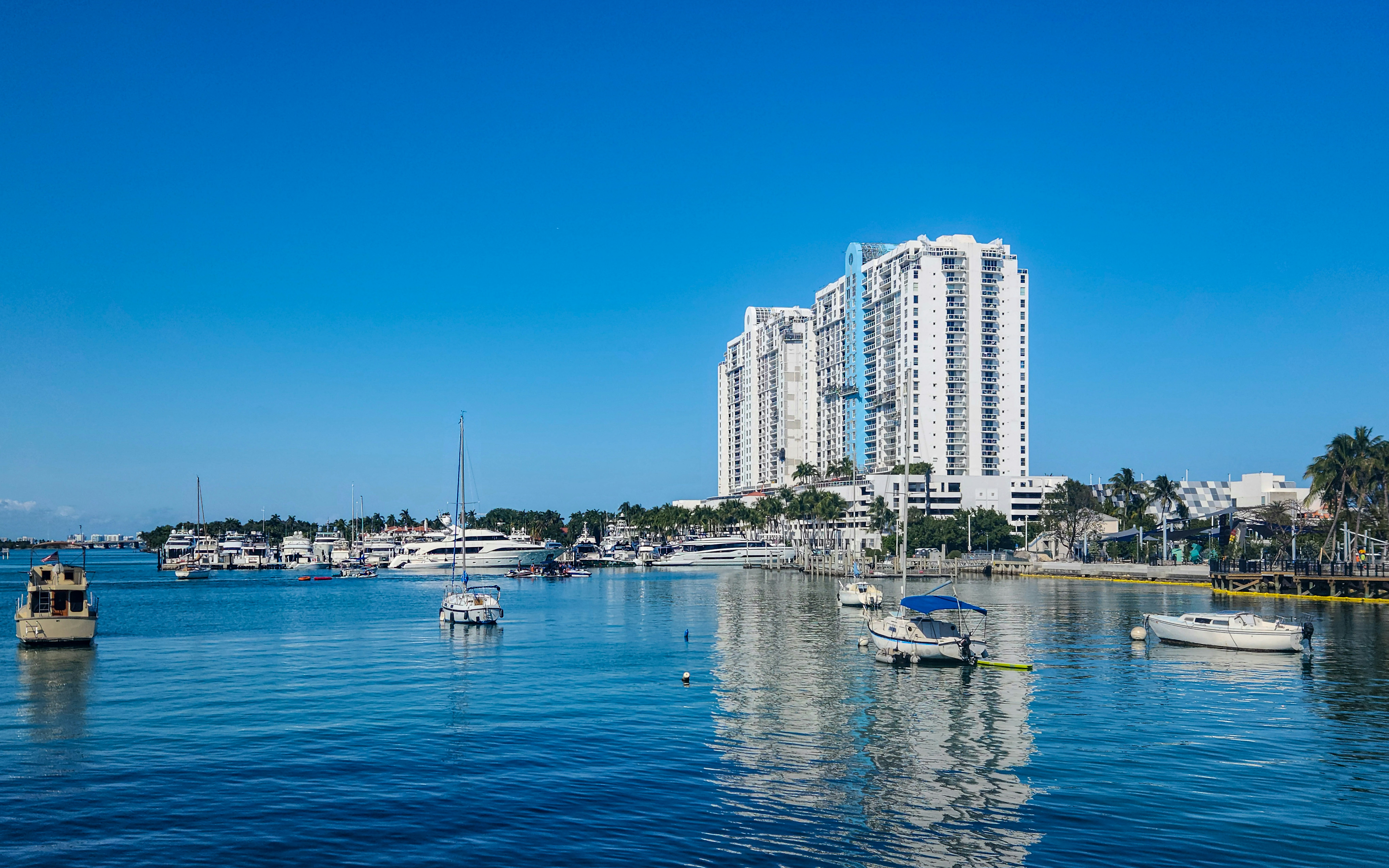 Photo by zoshuacolah