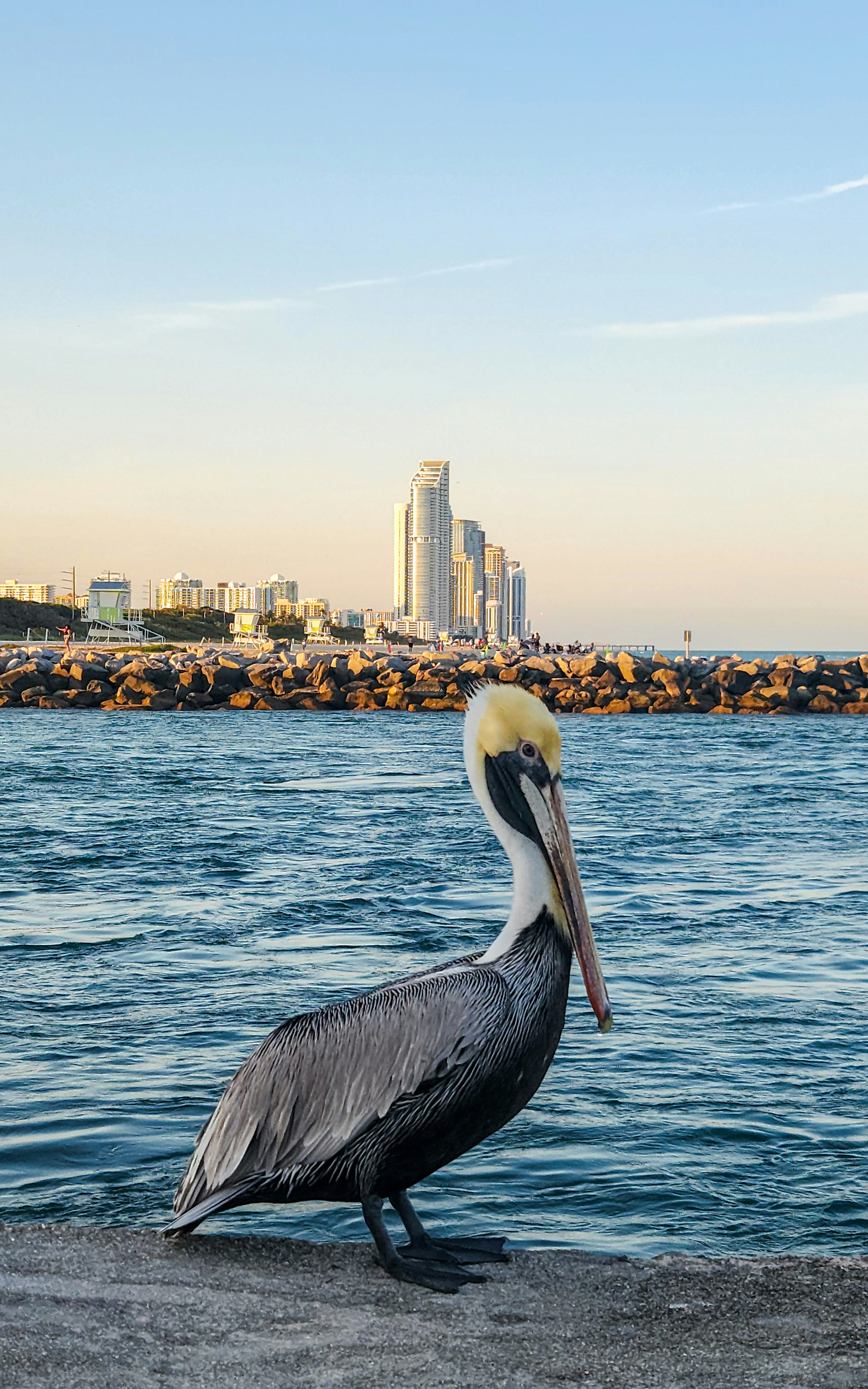 Photo by zoshuacolah