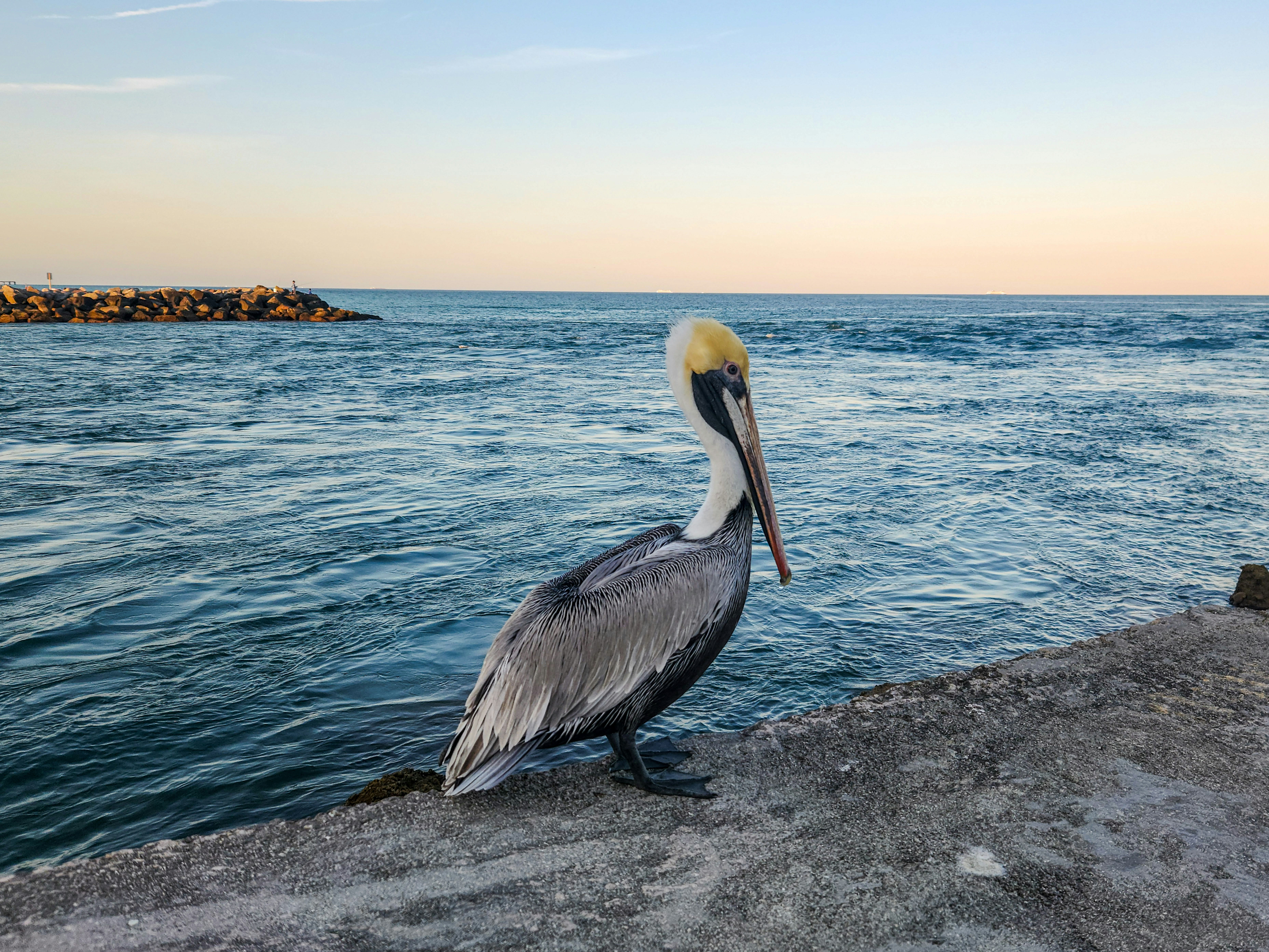 Photo by zoshuacolah