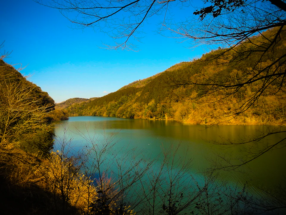 The image depicts a serene lake nestled amidst a mountainous landscape. The lake, with its calm waters reflecting the clear blue sky above, is surrounded by lush green trees and shrubs that add to the natural beauty of the scene. The mountains in the background provide a sense of depth and scale, while the bright blue sky suggests a sunny day.

The perspective of the image is from the shoreline, looking out towards the lake. This vantage point offers a panoramic view of the landscape, showcasing the harmonious blend of nature's elements. The colors in the image are vibrant, with the green foliage contrasting against the clear blue sky and the calm waters reflecting the sunlight.