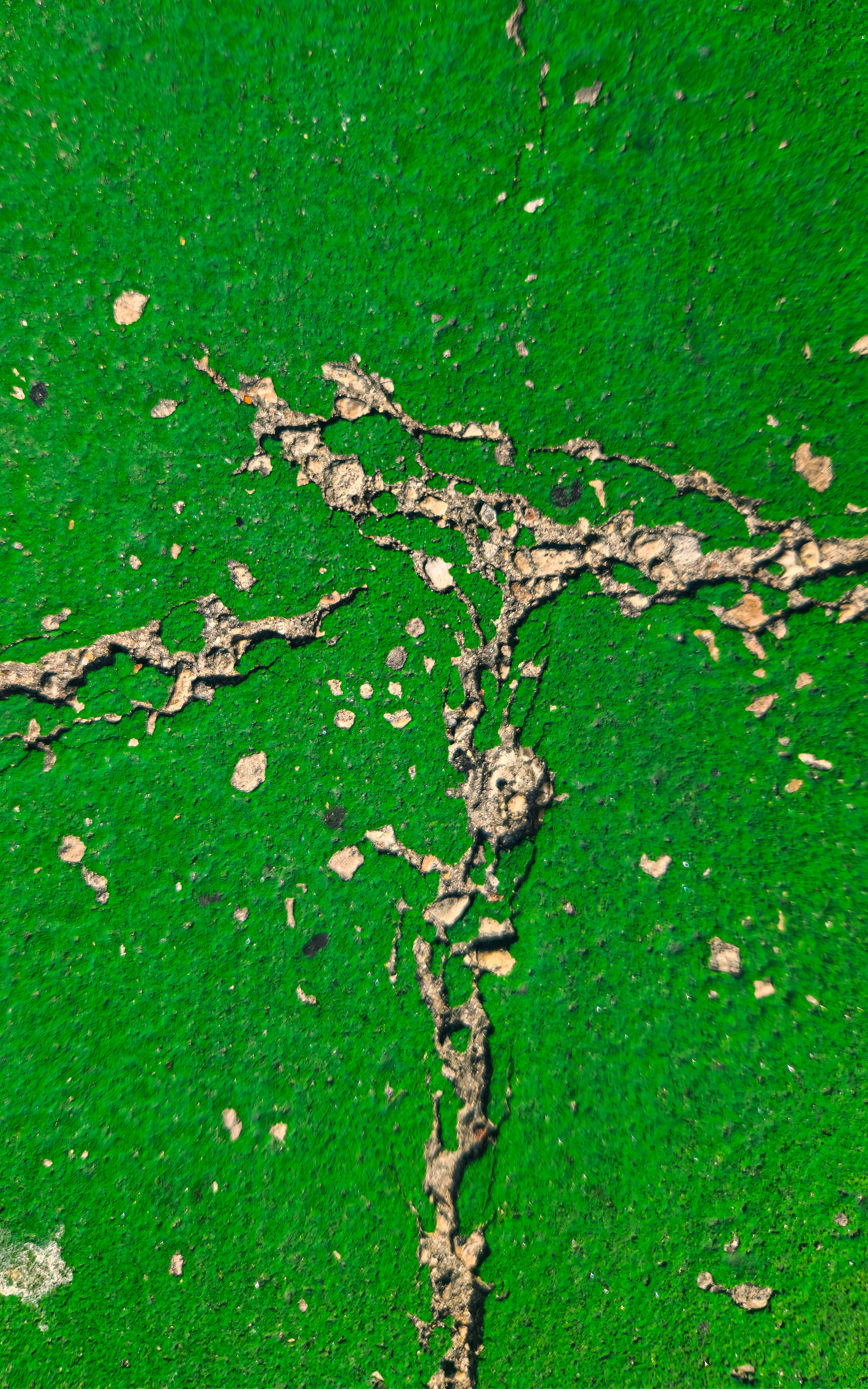A green wall with a crack in the middle of it