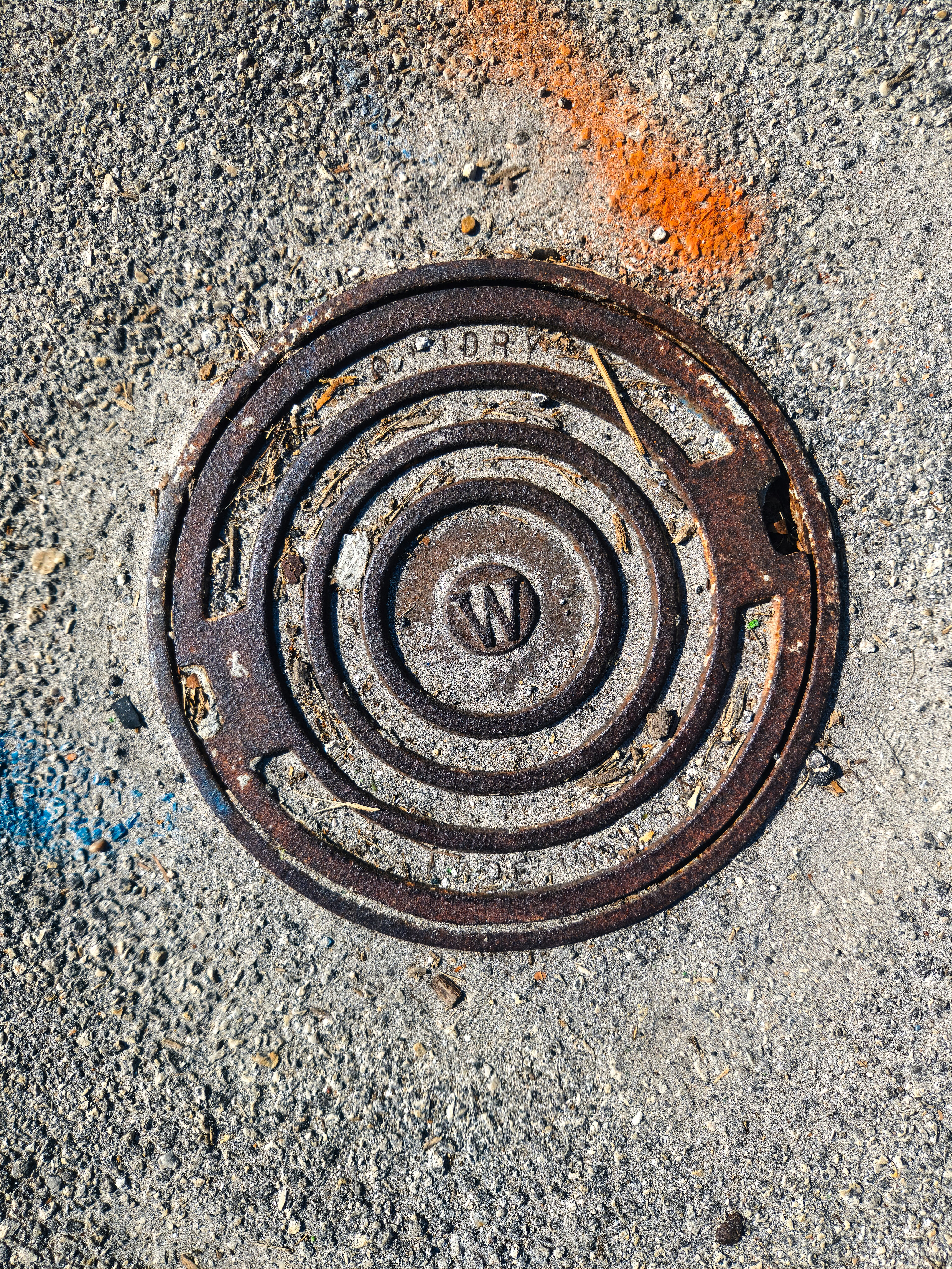 Photo by zoshuacolah