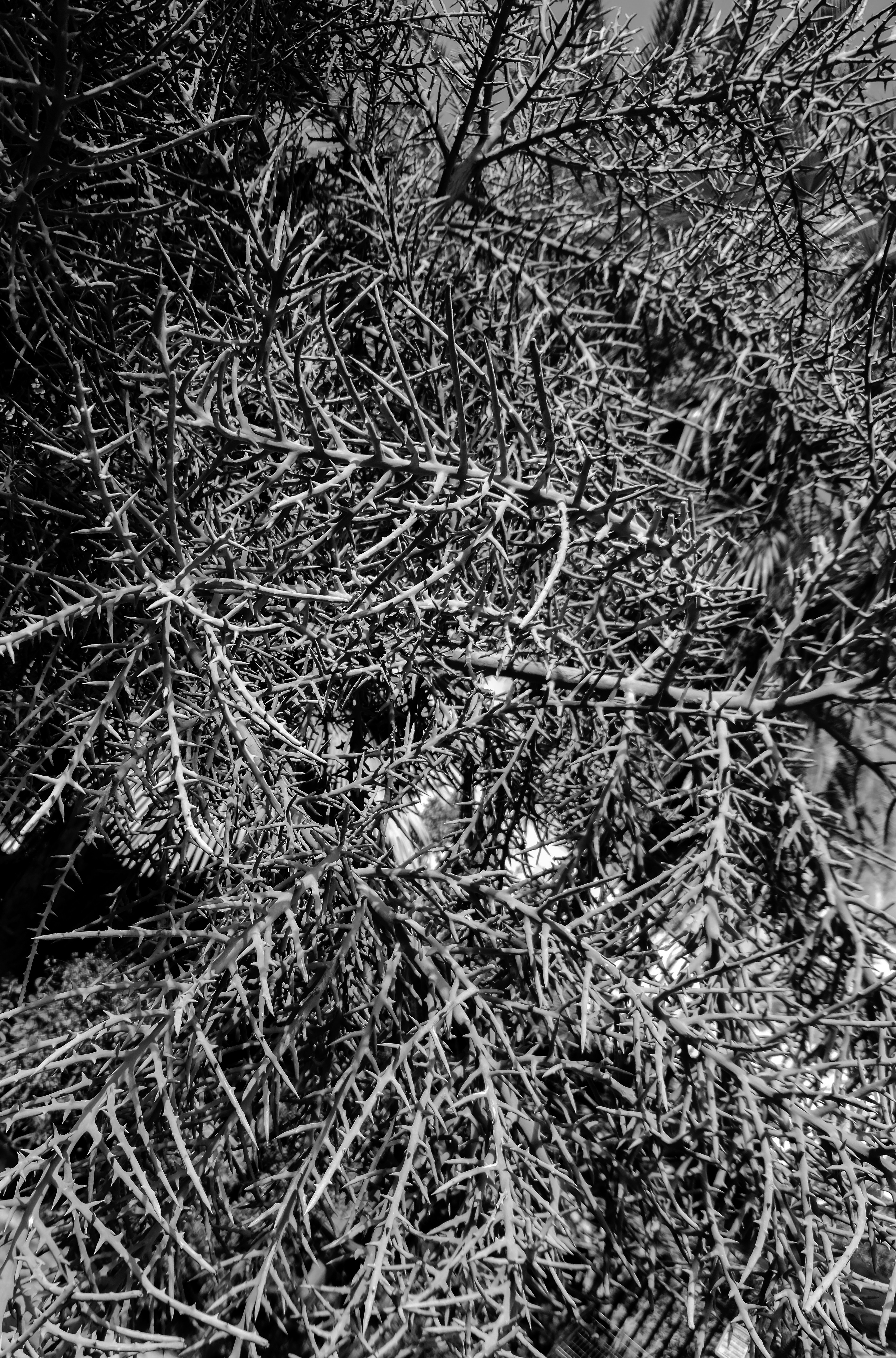 Photo by zoshuacolah