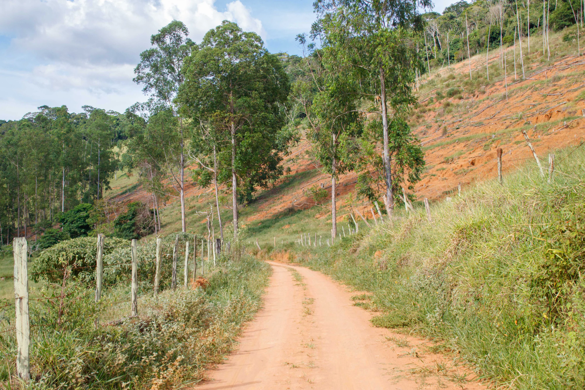 Estrada de terra vermelha cortando a zona rural