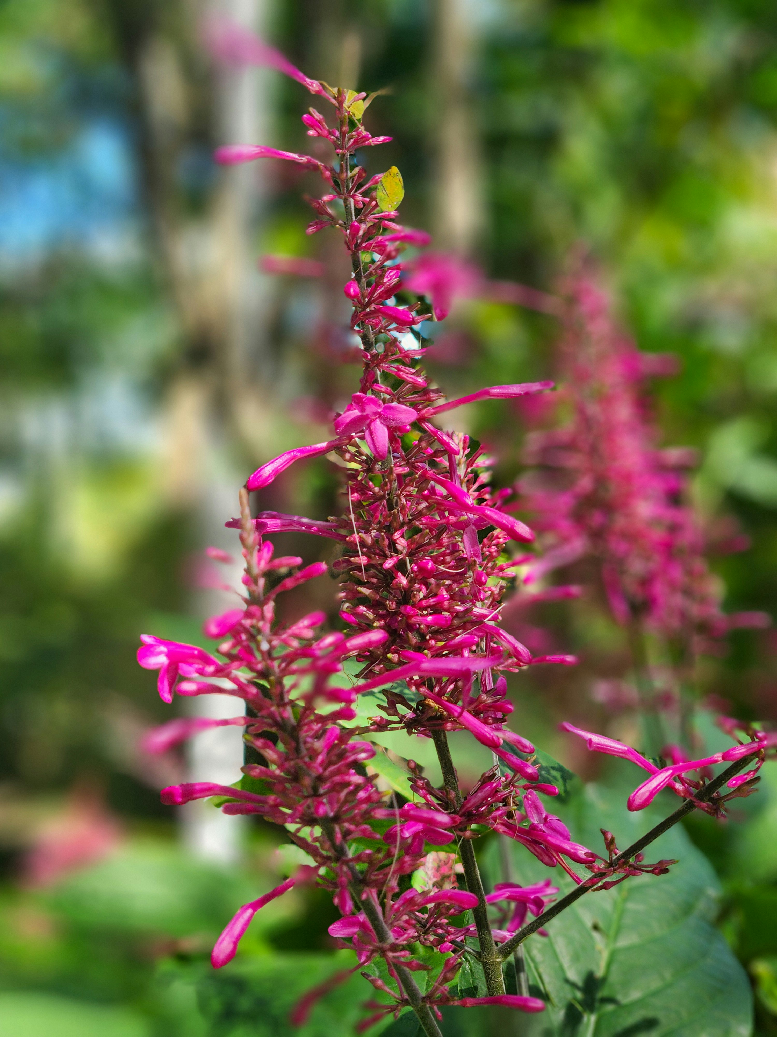 Photo by zoshuacolah