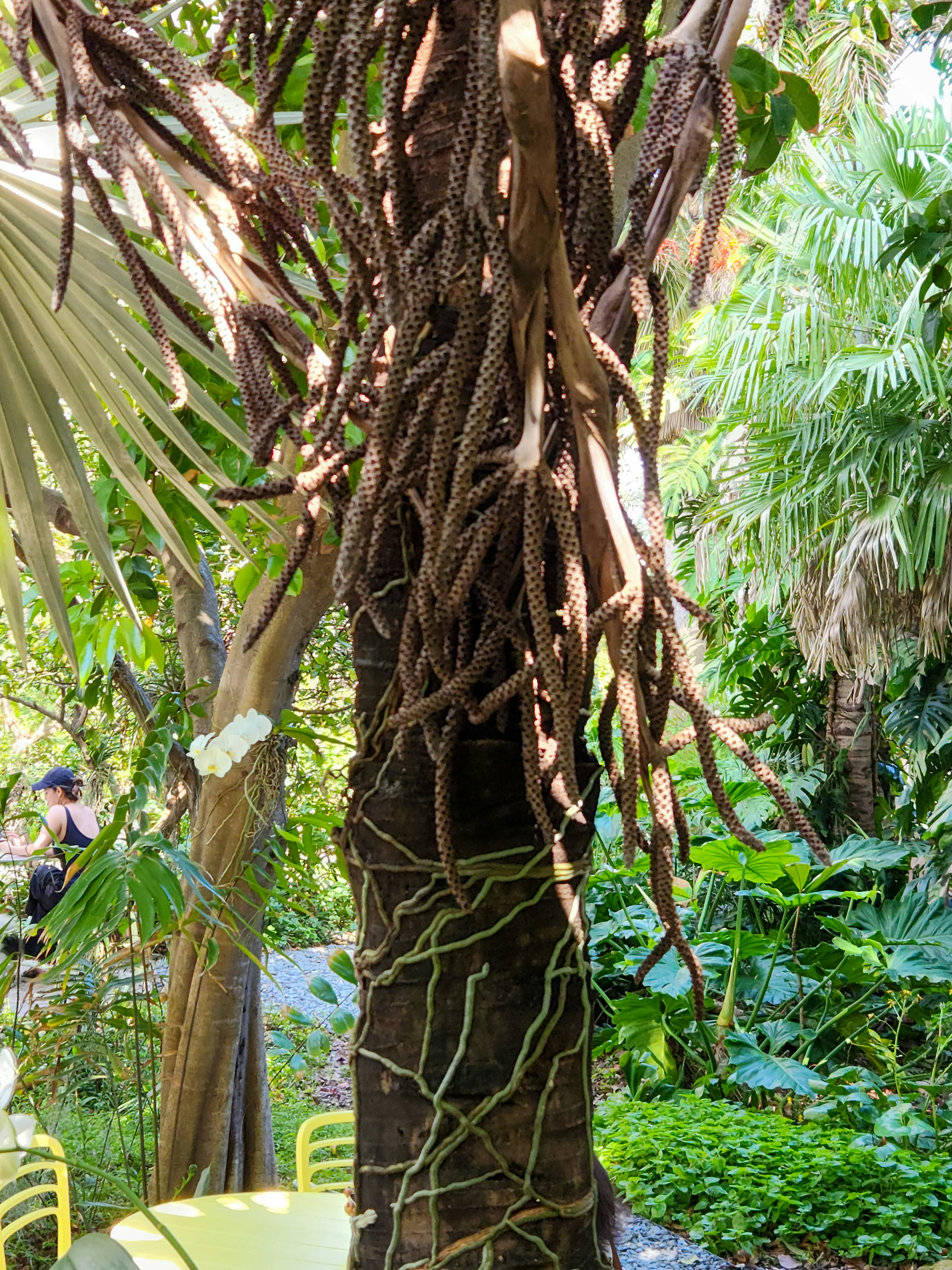 Photo by zoshuacolah