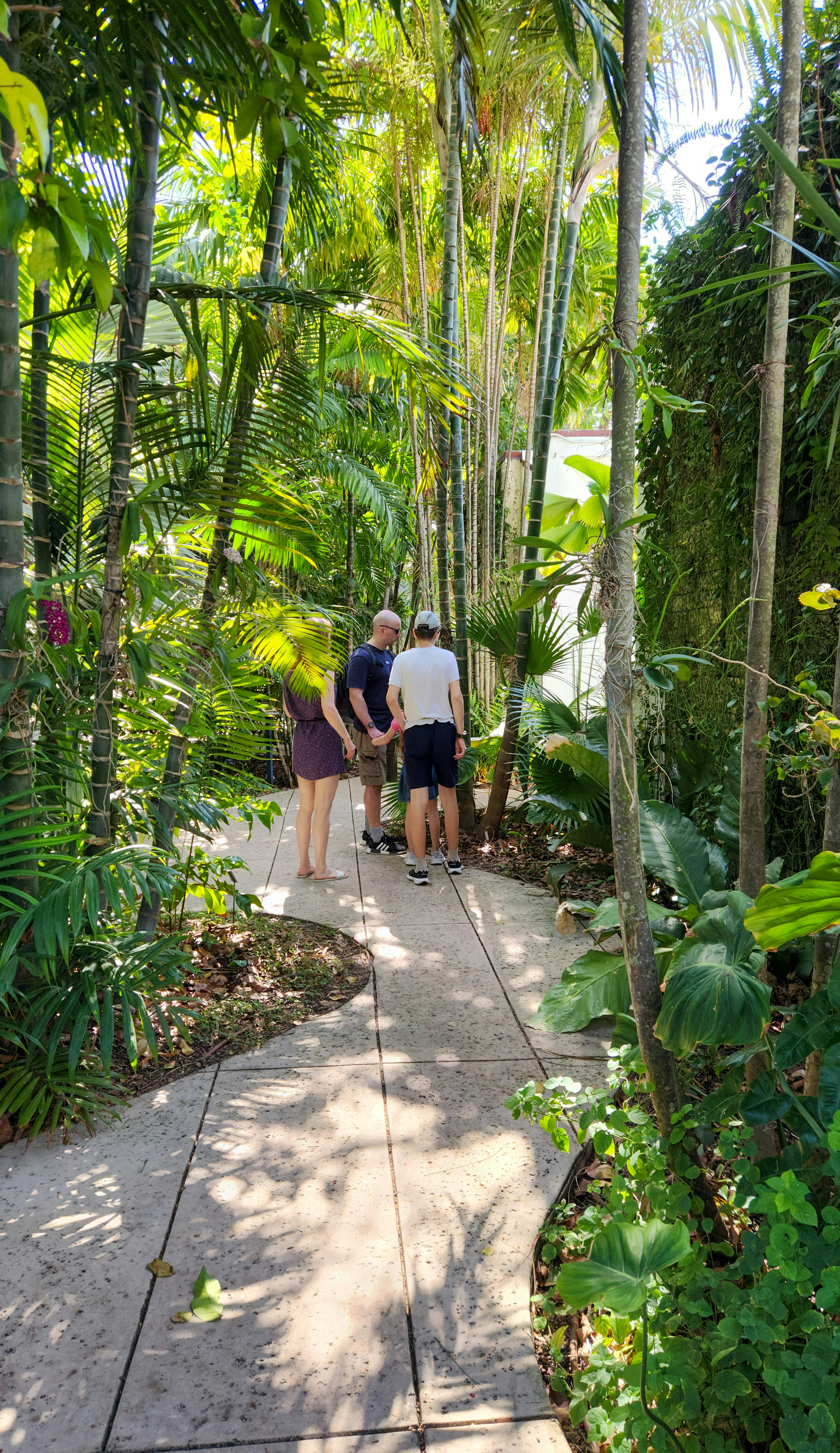 A group of people walking through a lush green forest
